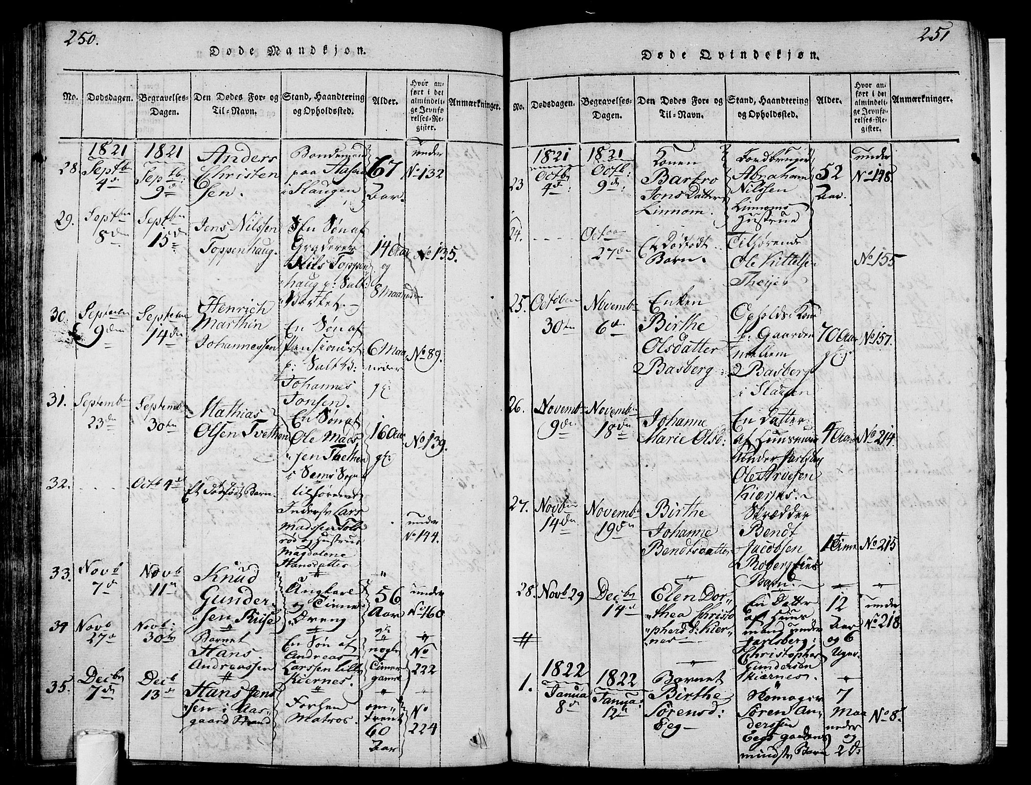 Sem kirkebøker, AV/SAKO-A-5/F/Fa/L0004: Parish register (official) no. I 4, 1814-1825, p. 250-251