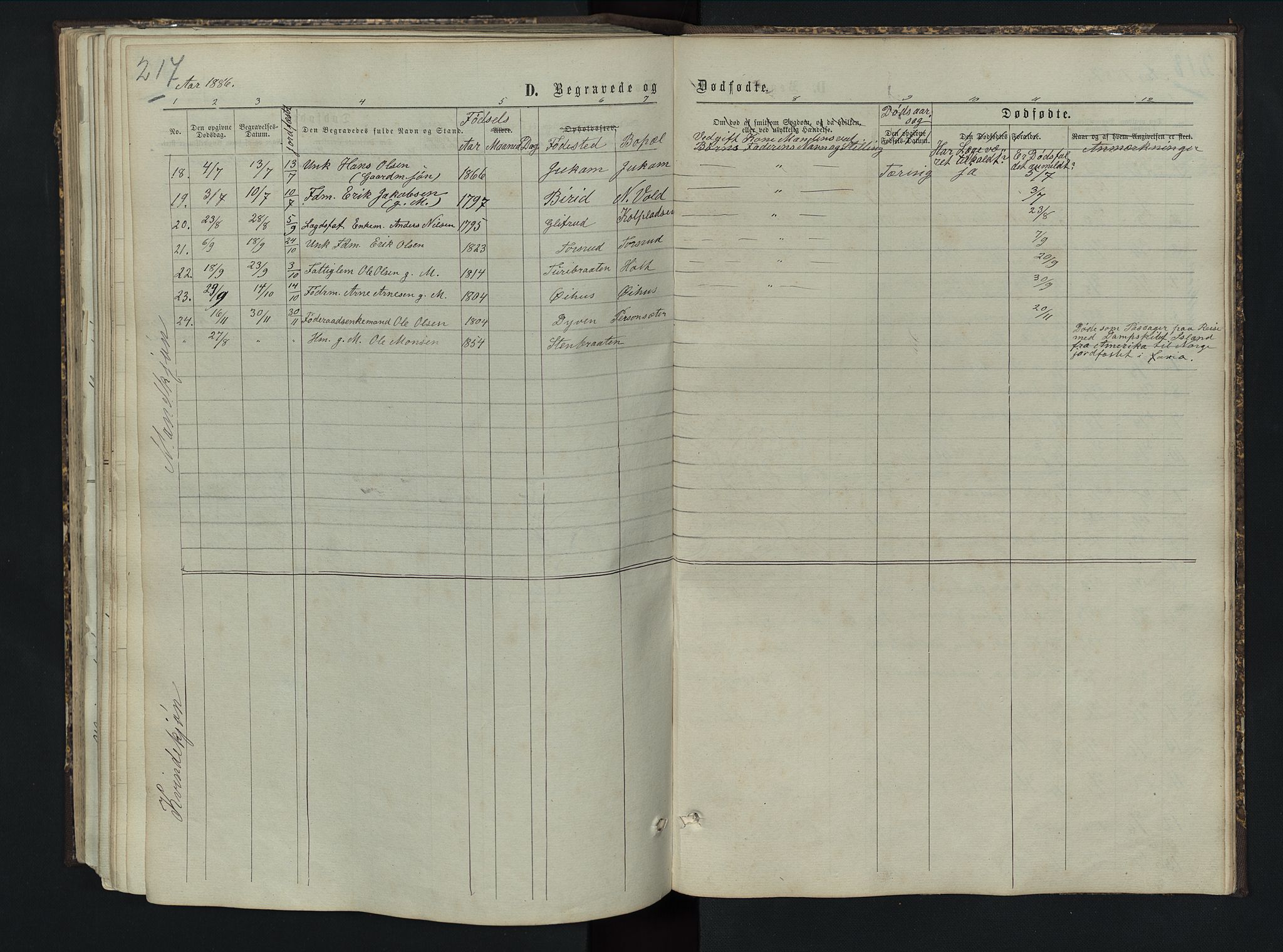 Sør-Aurdal prestekontor, SAH/PREST-128/H/Ha/Hab/L0005: Parish register (copy) no. 5, 1866-1893, p. 217