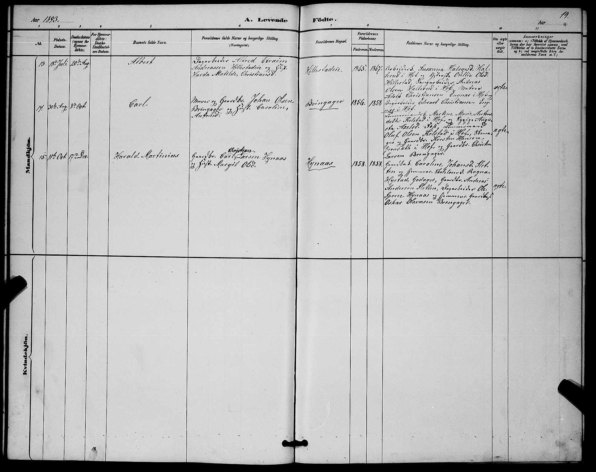 Botne kirkebøker, SAKO/A-340/G/Gb/L0003: Parish register (copy) no. II 3, 1887-1899, p. 19