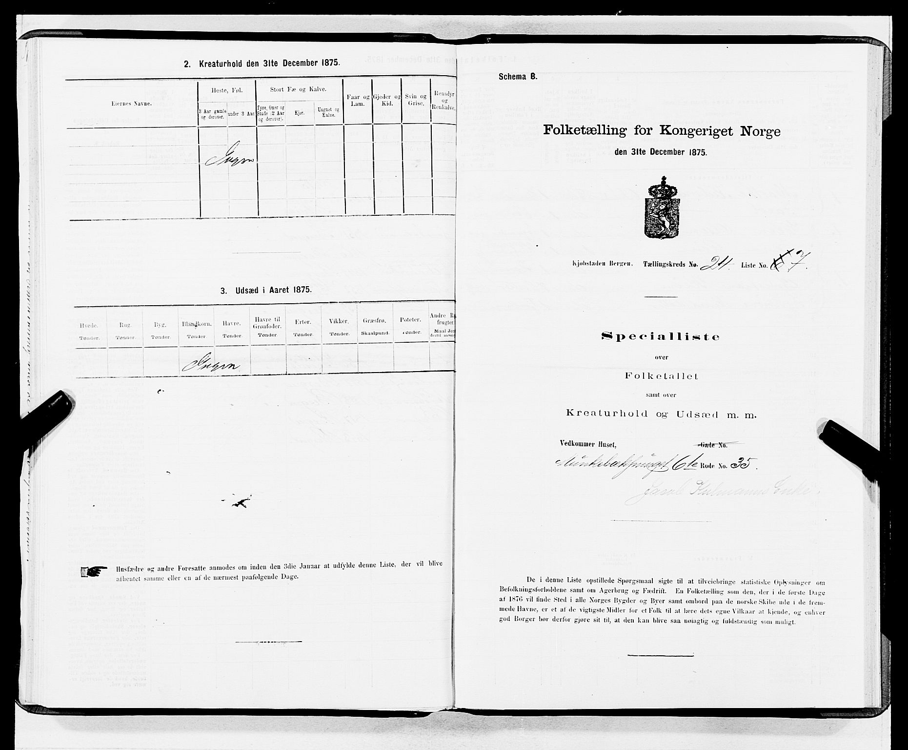 SAB, 1875 census for 1301 Bergen, 1875, p. 1250