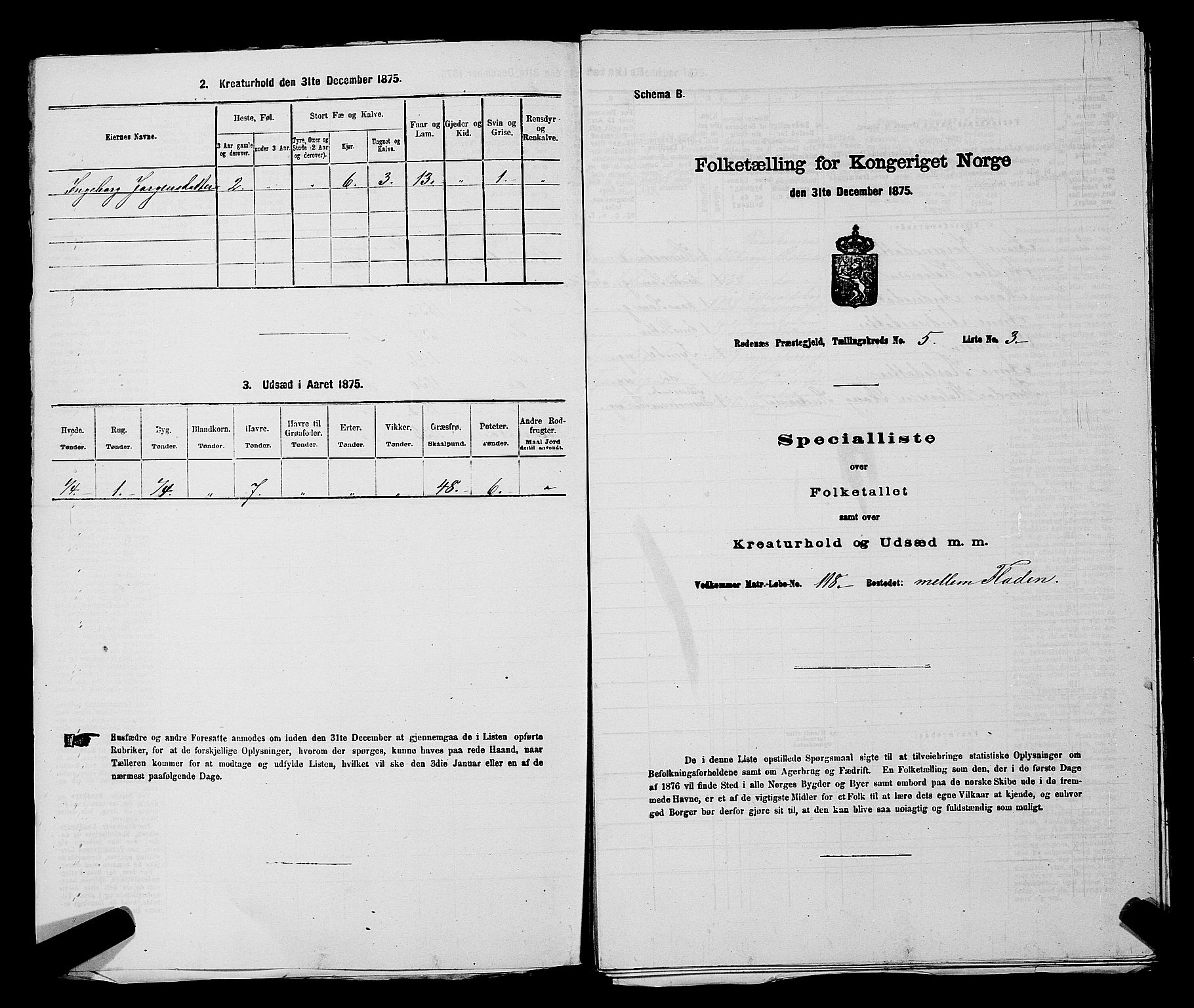 RA, 1875 census for 0120P Rødenes, 1875, p. 709