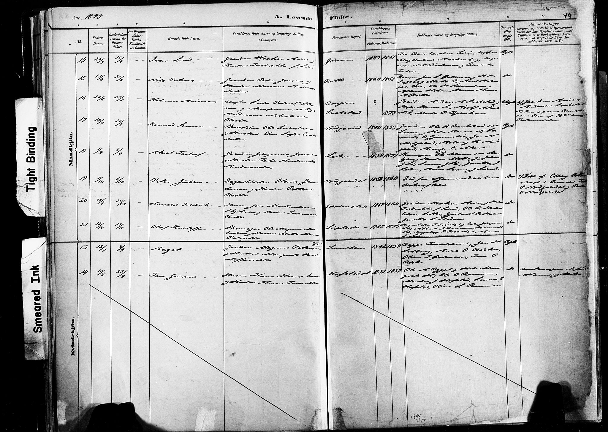 Ministerialprotokoller, klokkerbøker og fødselsregistre - Nord-Trøndelag, AV/SAT-A-1458/735/L0351: Parish register (official) no. 735A10, 1884-1908, p. 49