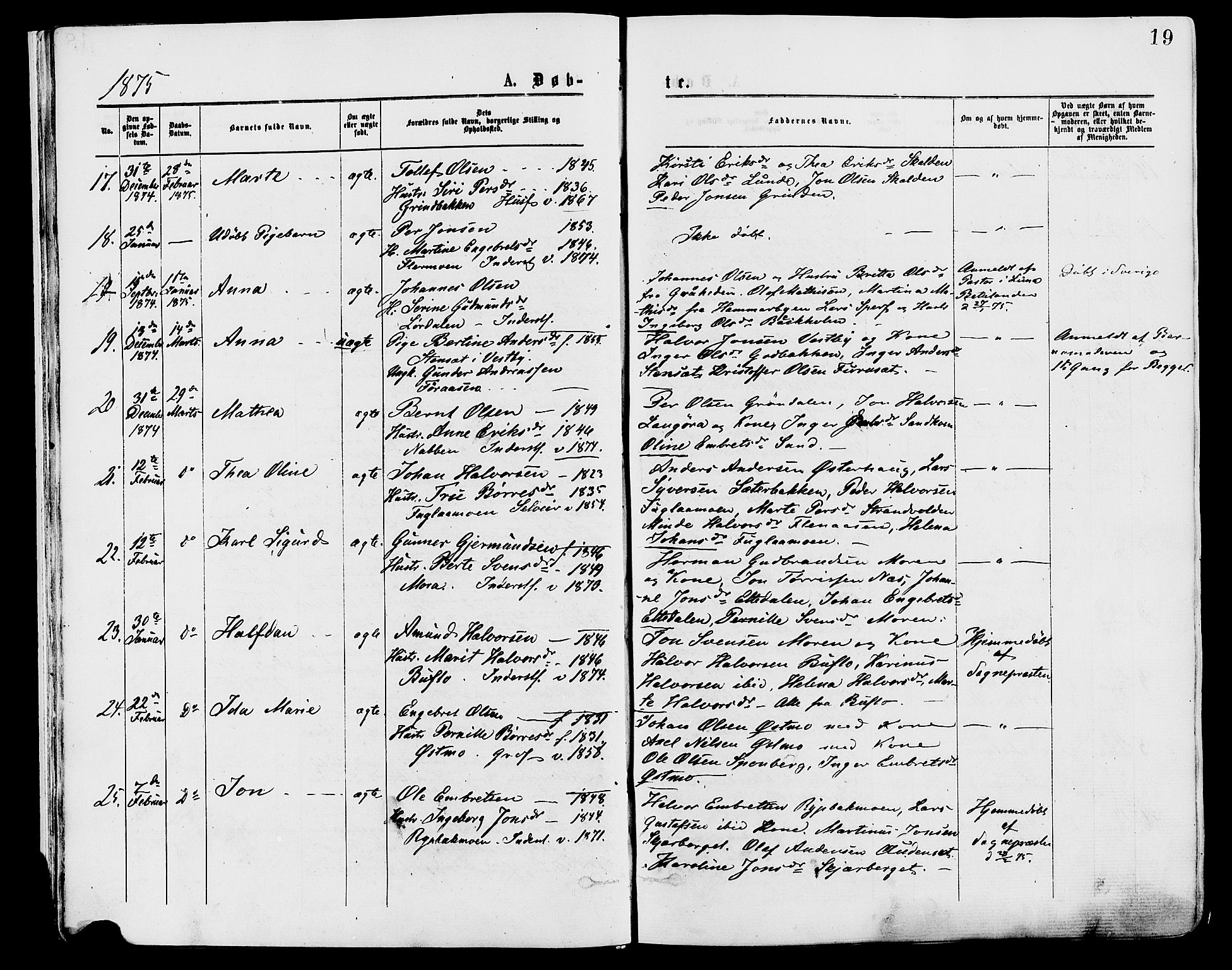 Trysil prestekontor, AV/SAH-PREST-046/H/Ha/Haa/L0007: Parish register (official) no. 7, 1874-1880, p. 19