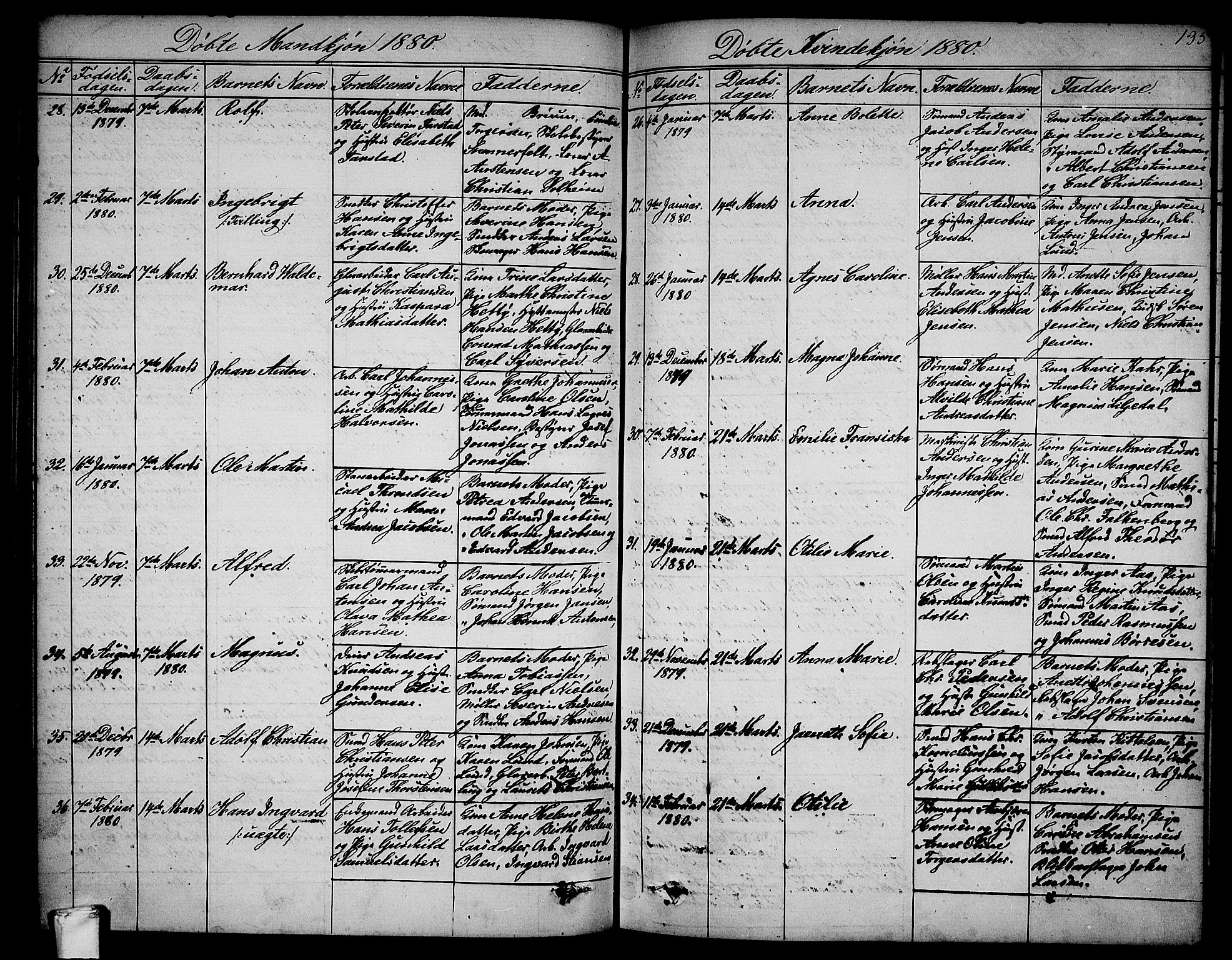 Larvik kirkebøker, AV/SAKO-A-352/G/Ga/L0004: Parish register (copy) no. I 4, 1871-1888, p. 135