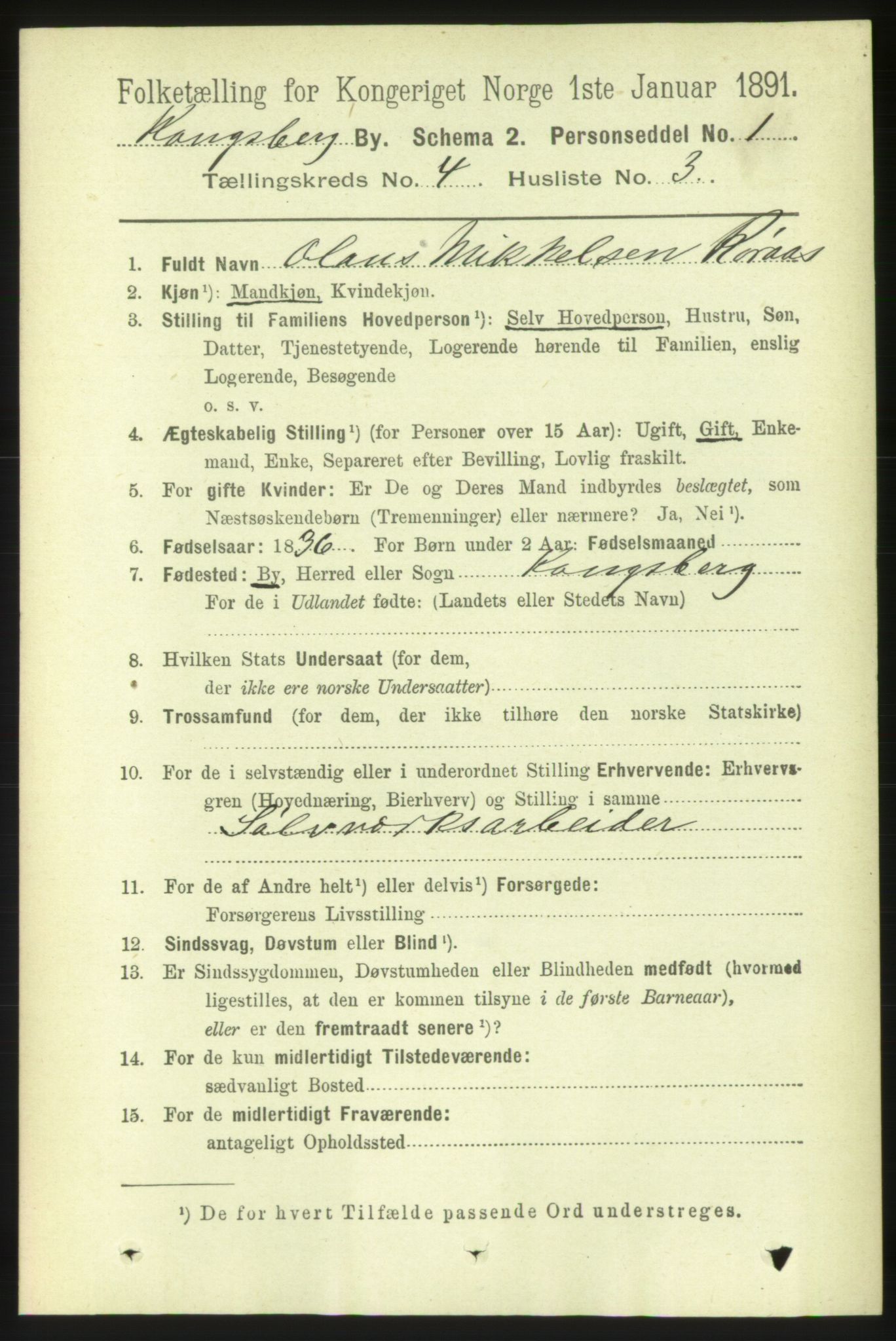 RA, 1891 census for 0604 Kongsberg, 1891, p. 3521