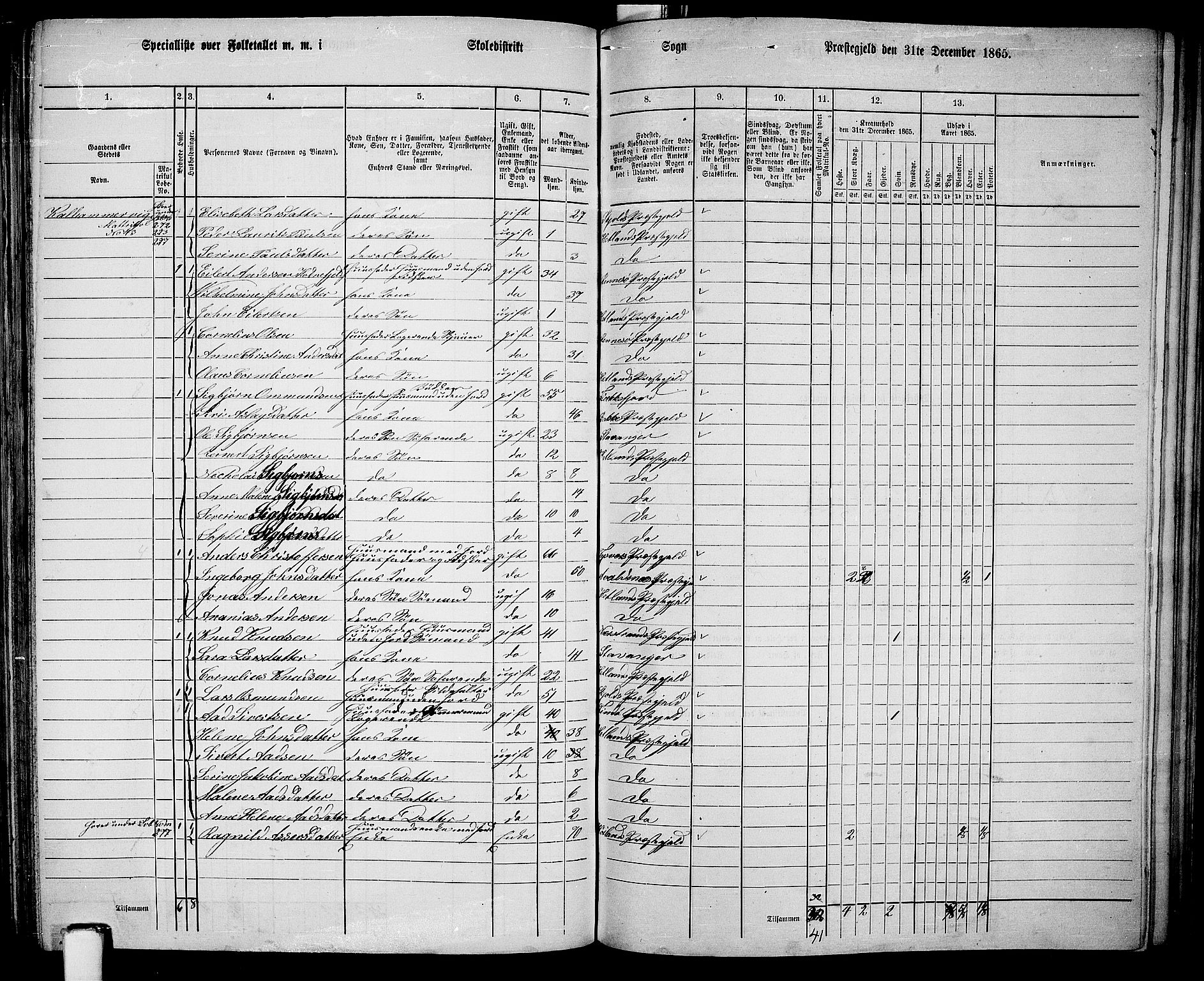 RA, 1865 census for Hetland, 1865, p. 164