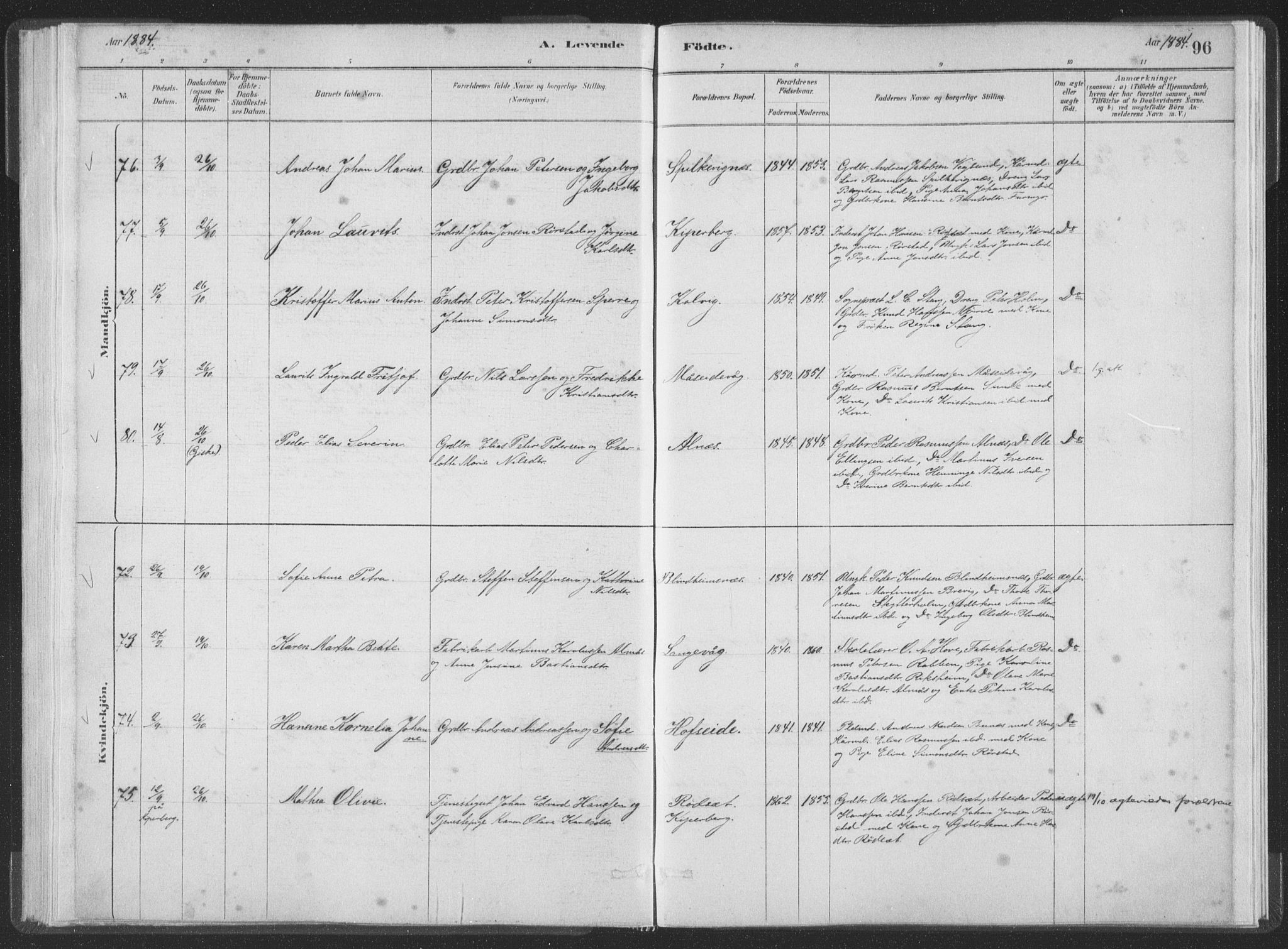 Ministerialprotokoller, klokkerbøker og fødselsregistre - Møre og Romsdal, AV/SAT-A-1454/528/L0401: Parish register (official) no. 528A12I, 1880-1920, p. 96