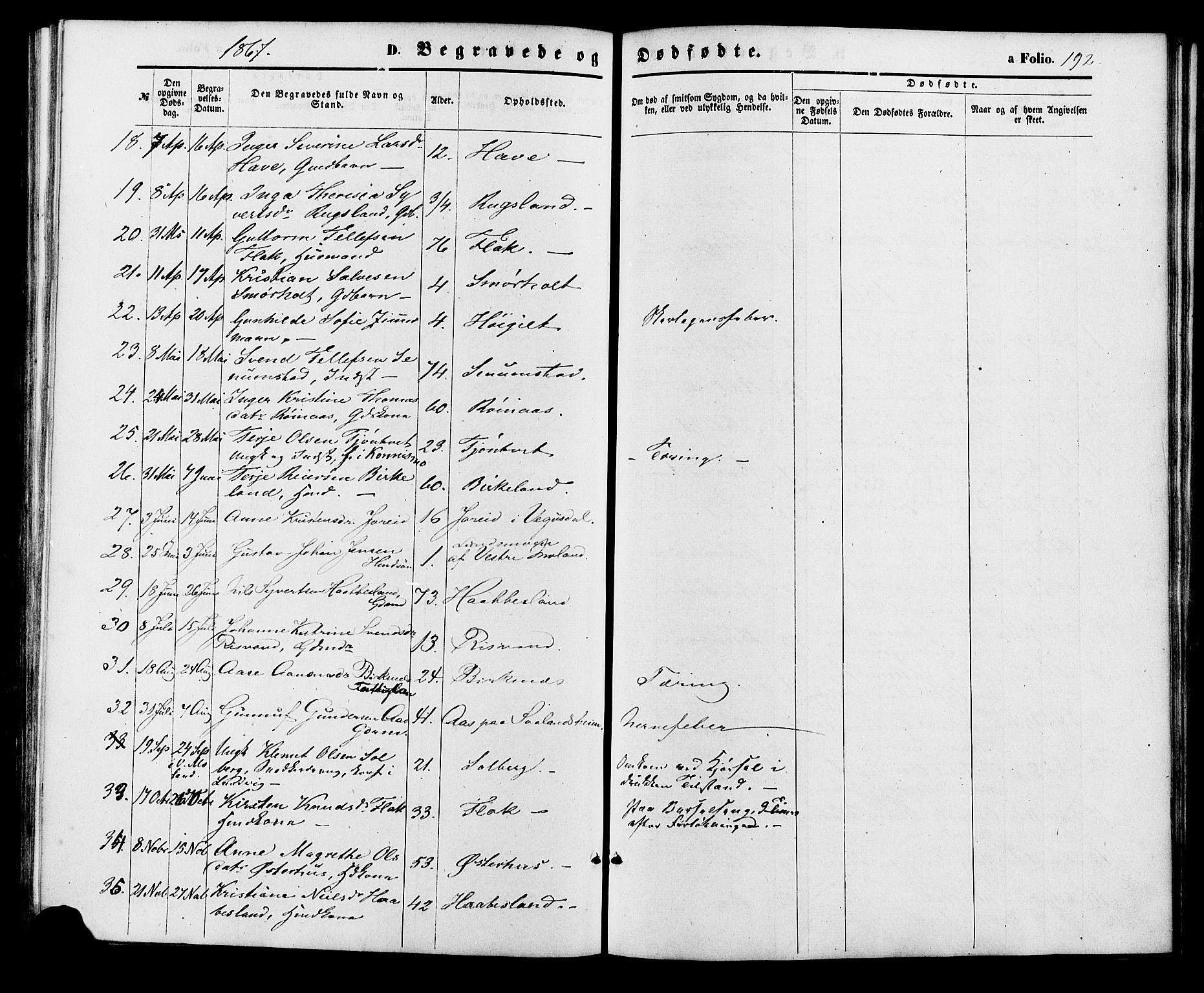 Birkenes sokneprestkontor, AV/SAK-1111-0004/F/Fa/L0004: Parish register (official) no. A 4, 1867-1886, p. 192