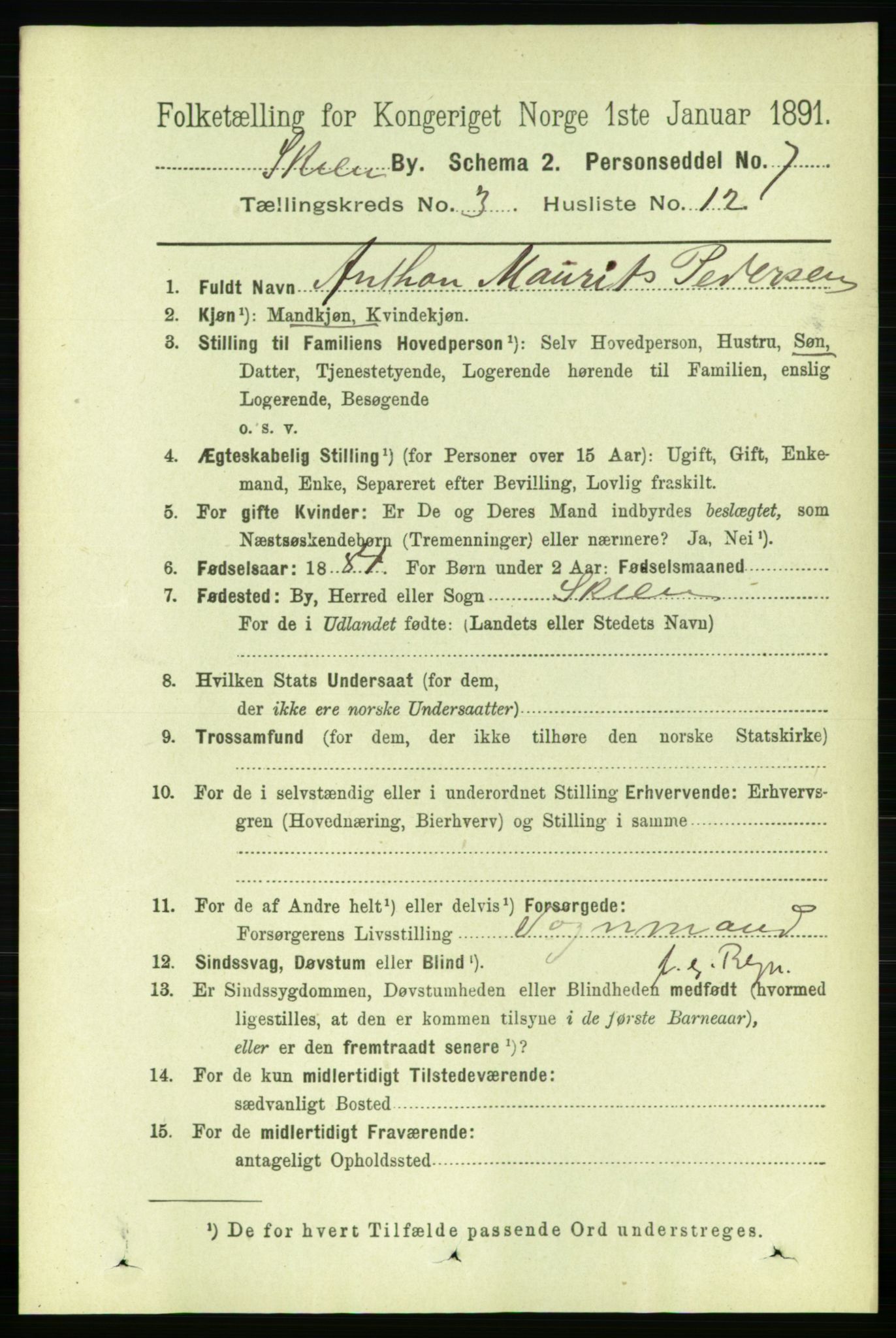 RA, 1891 census for 0806 Skien, 1891, p. 2576