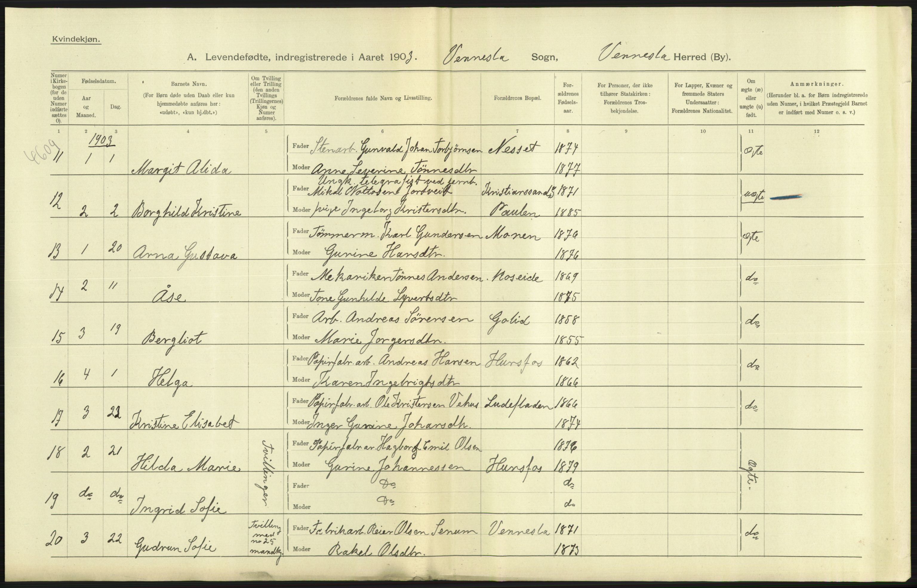 Statistisk sentralbyrå, Sosiodemografiske emner, Befolkning, AV/RA-S-2228/D/Df/Dfa/Dfaa/L0011: Lister og Mandal amt: Fødte, gifte, døde, 1903, p. 175