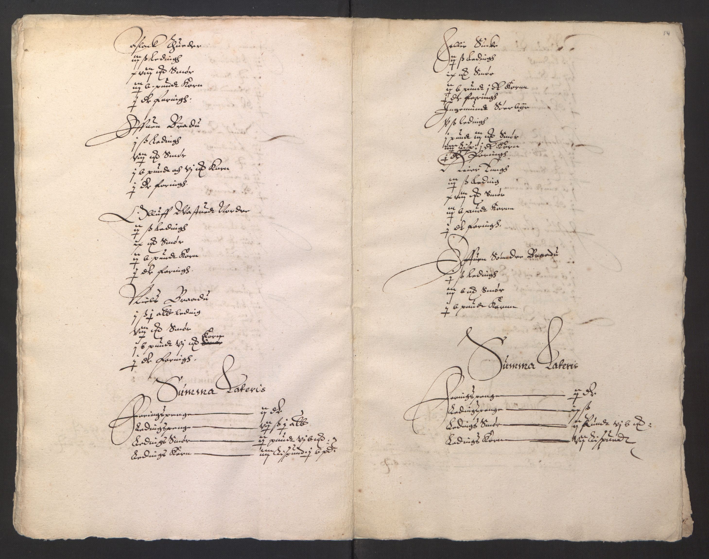 Stattholderembetet 1572-1771, AV/RA-EA-2870/Ek/L0001/0002: Jordebøker før 1624 og til utligning av garnisonsskatt 1624-1626: / Jordebøker for Akershus len, 1624-1625, p. 197