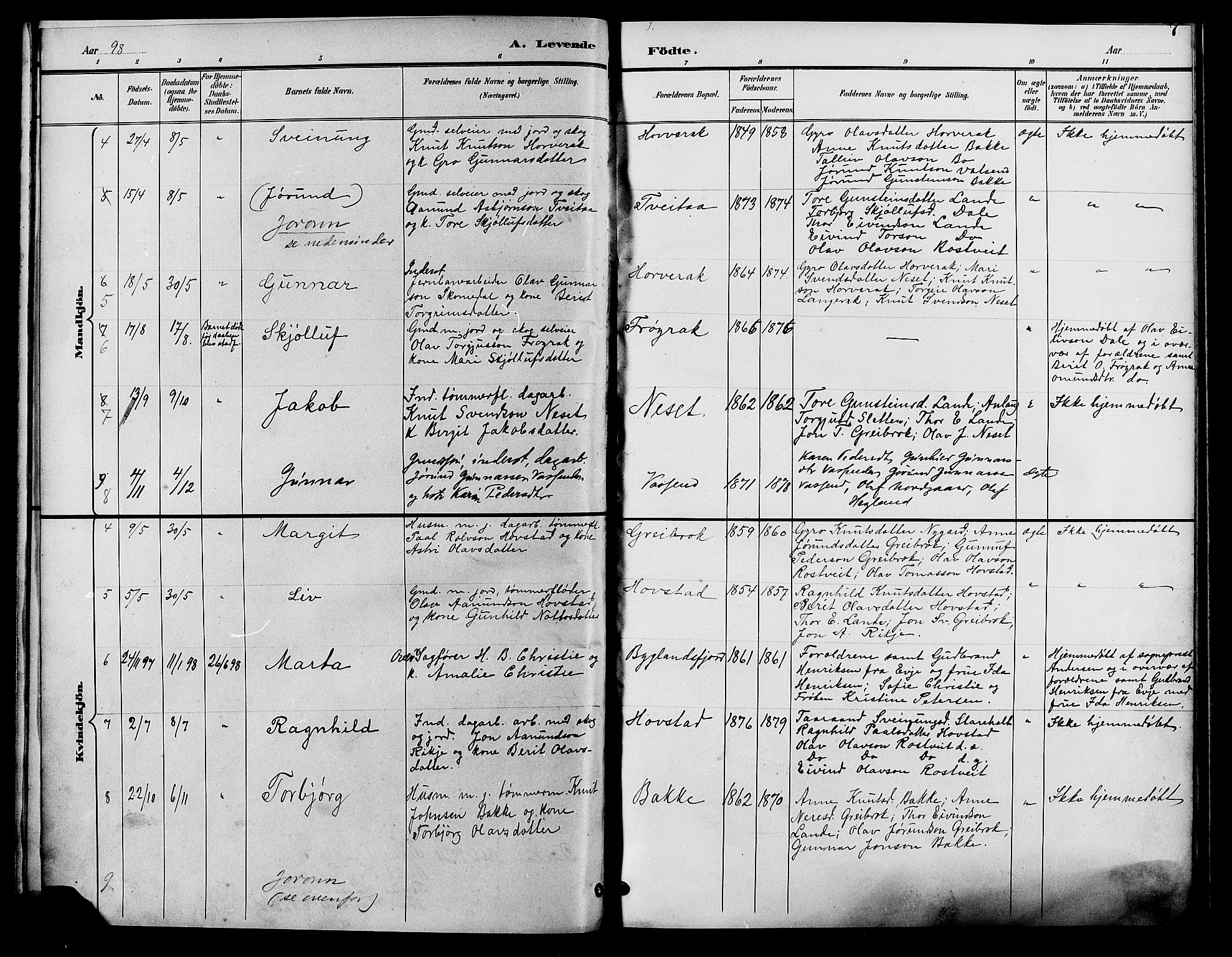 Bygland sokneprestkontor, AV/SAK-1111-0006/F/Fb/Fbd/L0002: Parish register (copy) no. B 2, 1894-1909, p. 7