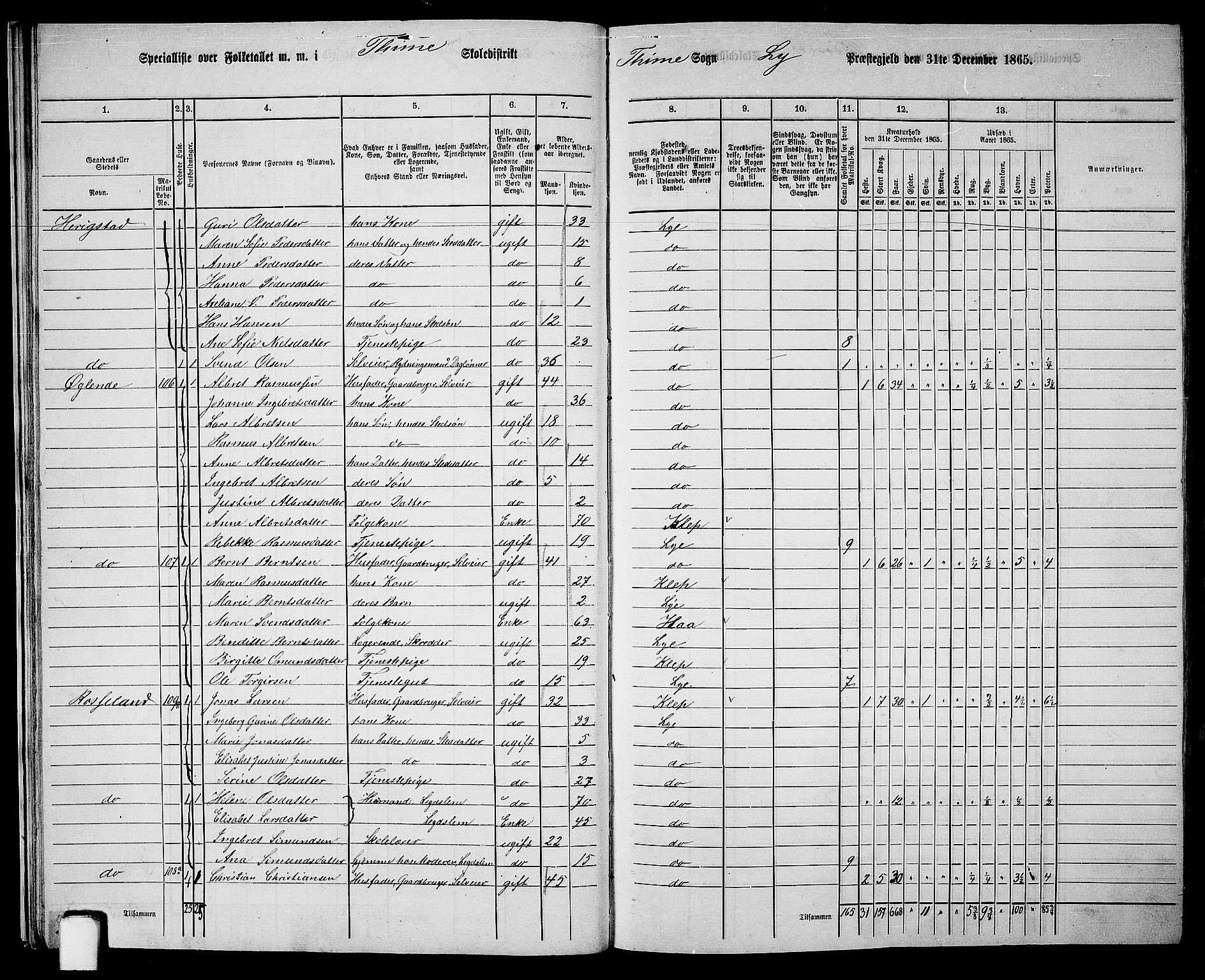 RA, 1865 census for Lye, 1865, p. 19