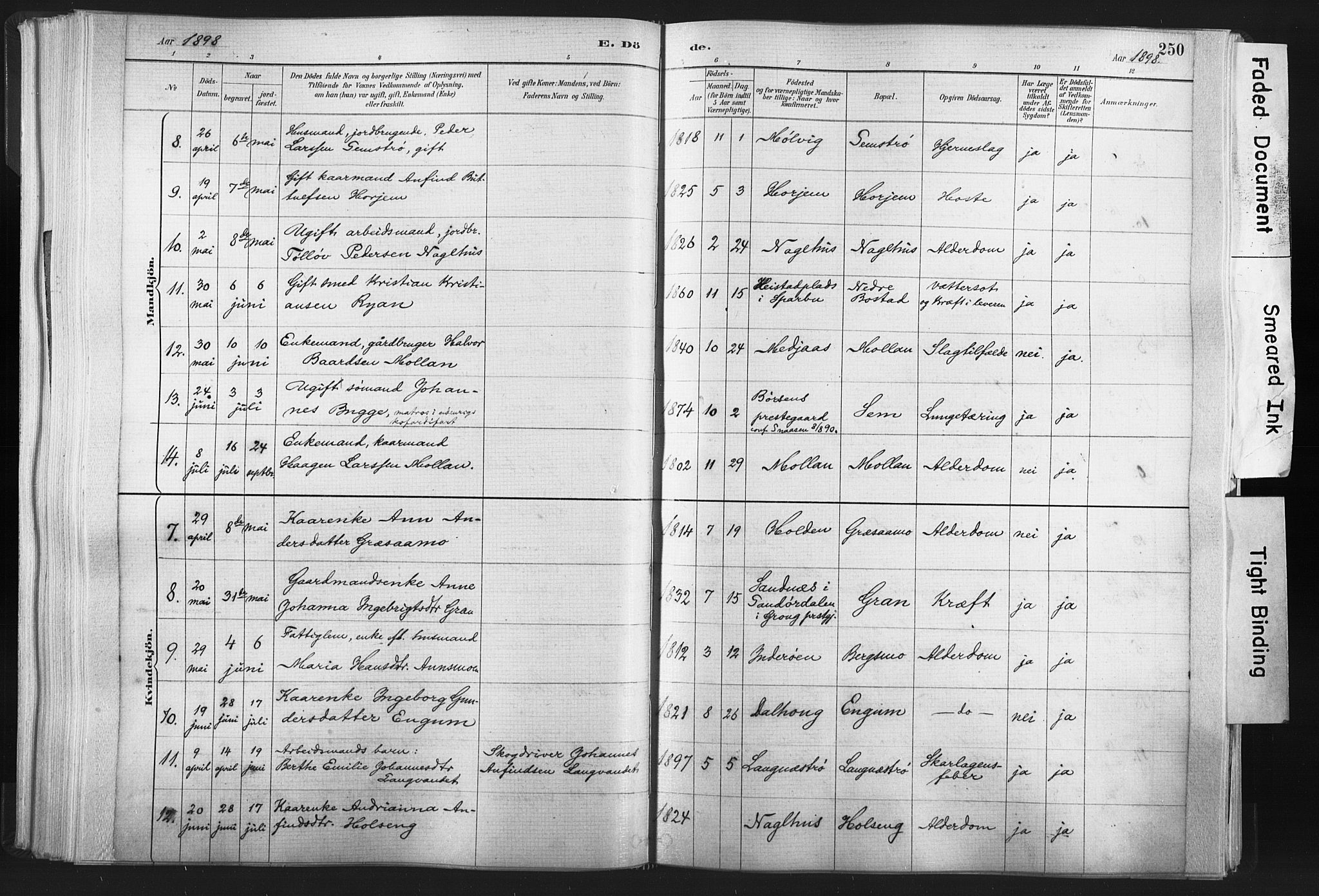 Ministerialprotokoller, klokkerbøker og fødselsregistre - Nord-Trøndelag, AV/SAT-A-1458/749/L0474: Parish register (official) no. 749A08, 1887-1903, p. 250