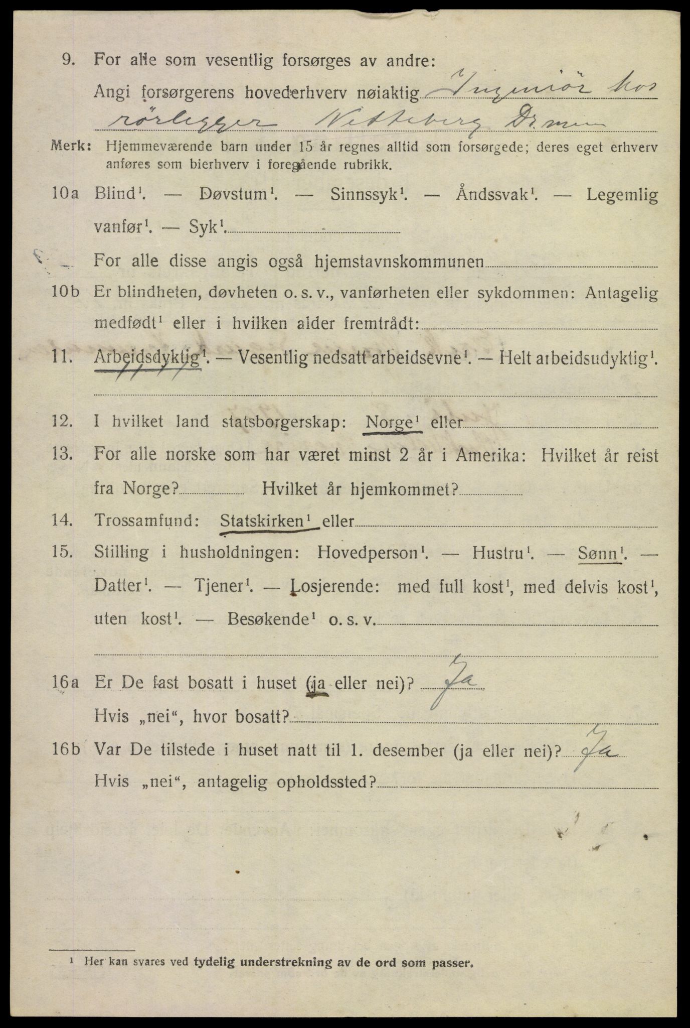 SAKO, 1920 census for Lier, 1920, p. 15093