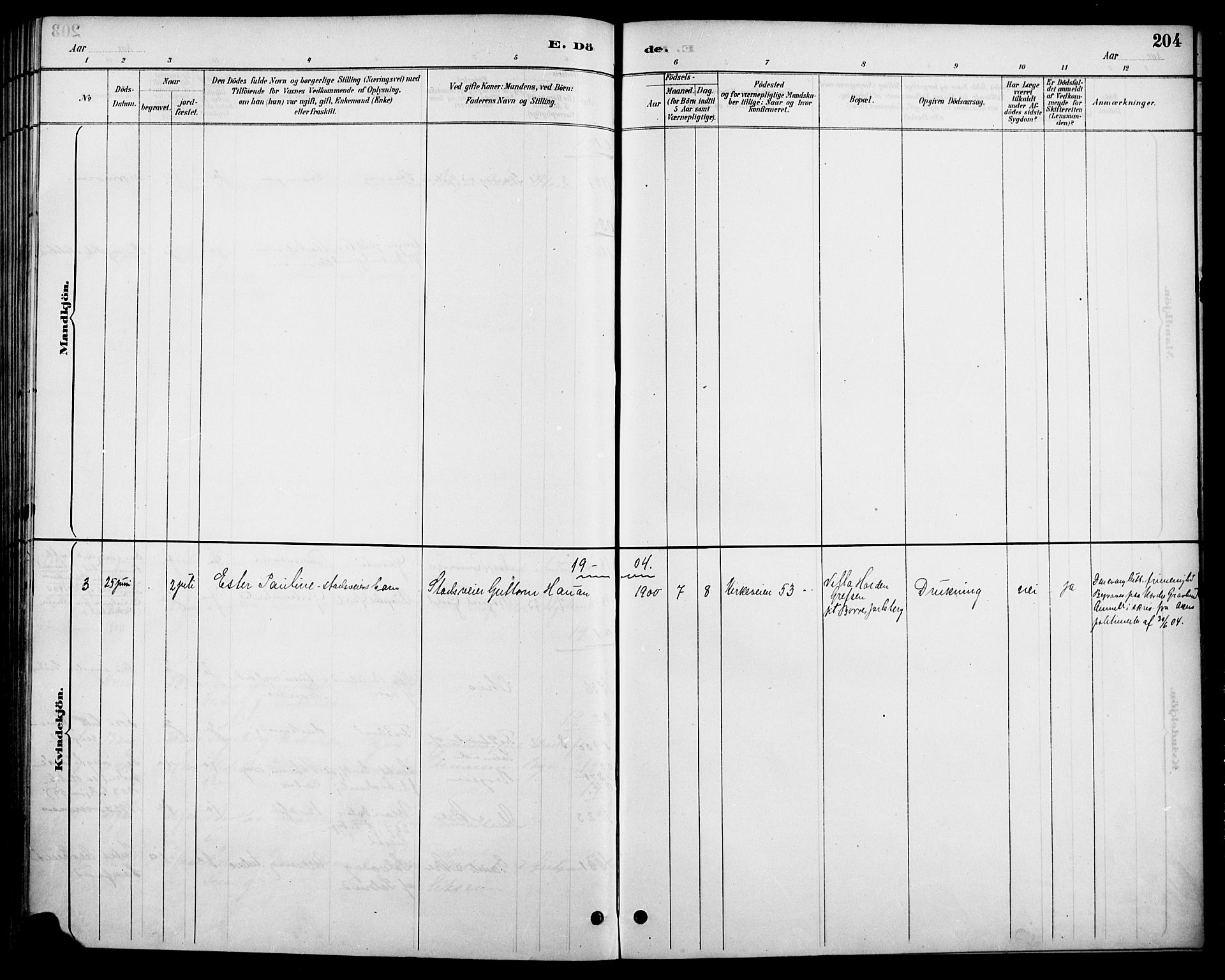 Vestre Aker prestekontor Kirkebøker, SAO/A-10025/F/Fa/L0011: Parish register (official) no. 11, 1886-1904, p. 204