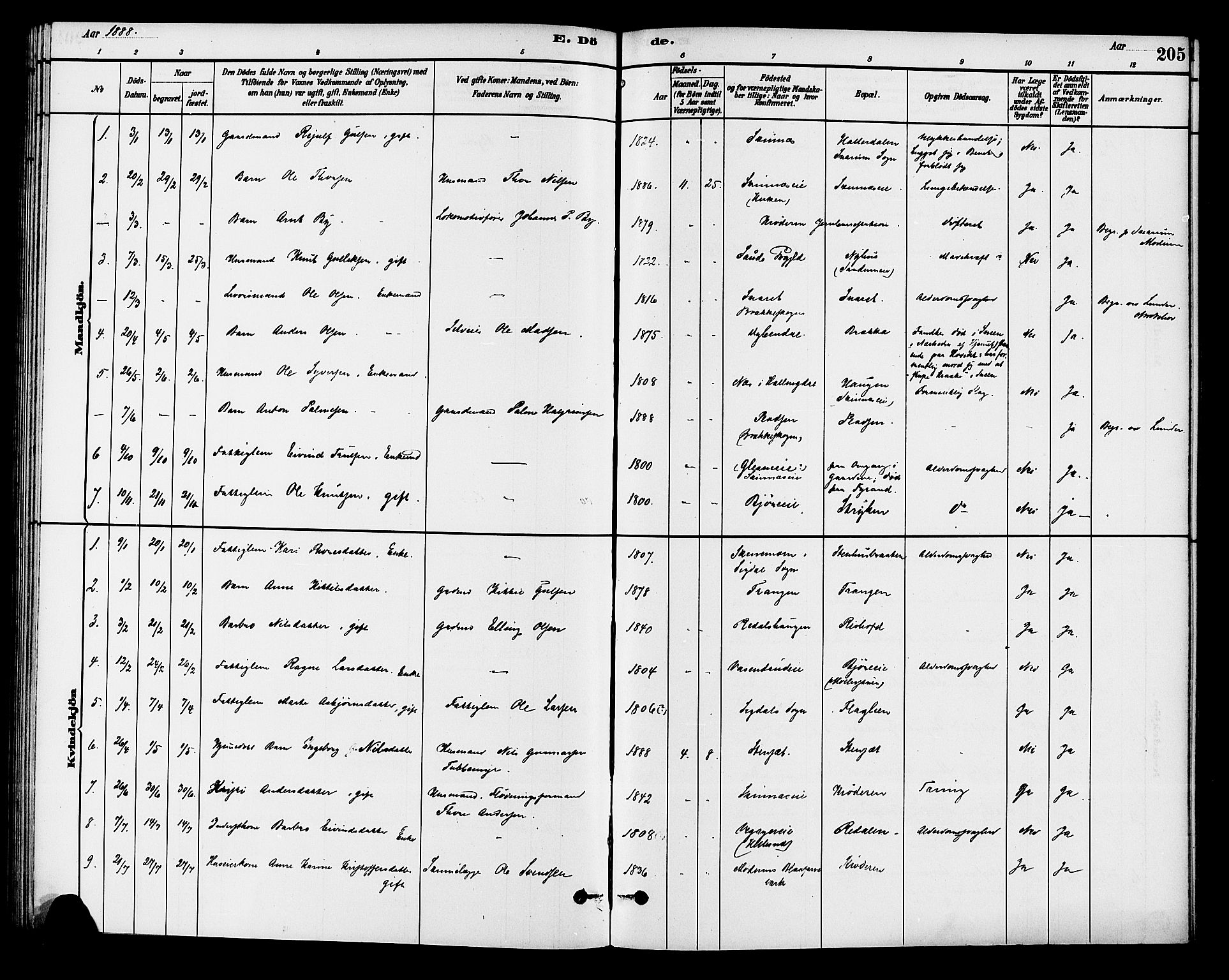 Krødsherad kirkebøker, AV/SAKO-A-19/G/Ga/L0001: Parish register (copy) no. 1, 1879-1893, p. 205