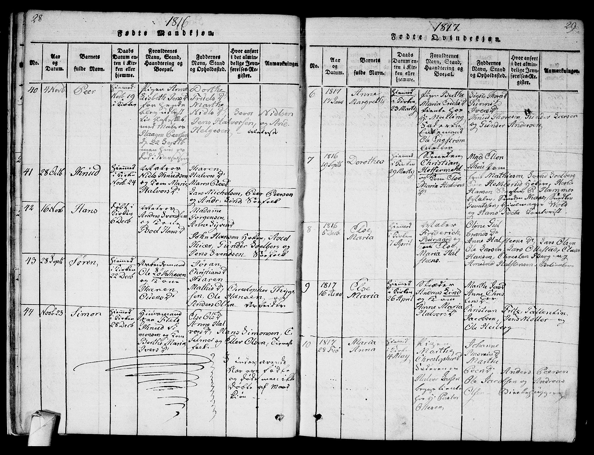 Strømsø kirkebøker, SAKO/A-246/F/Fa/L0011: Parish register (official) no. I 11, 1815-1829, p. 28-29