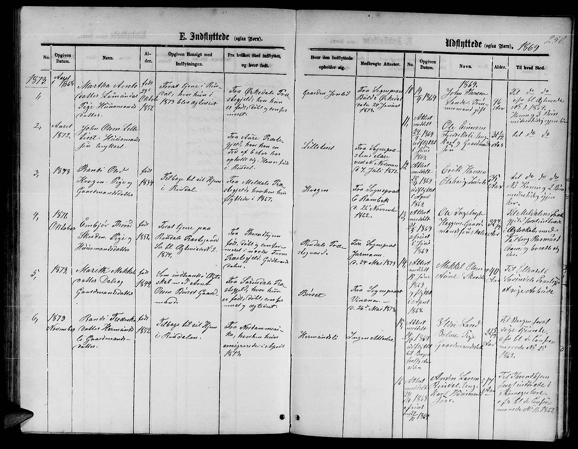 Ministerialprotokoller, klokkerbøker og fødselsregistre - Møre og Romsdal, AV/SAT-A-1454/598/L1076: Parish register (copy) no. 598C01, 1867-1878, p. 250