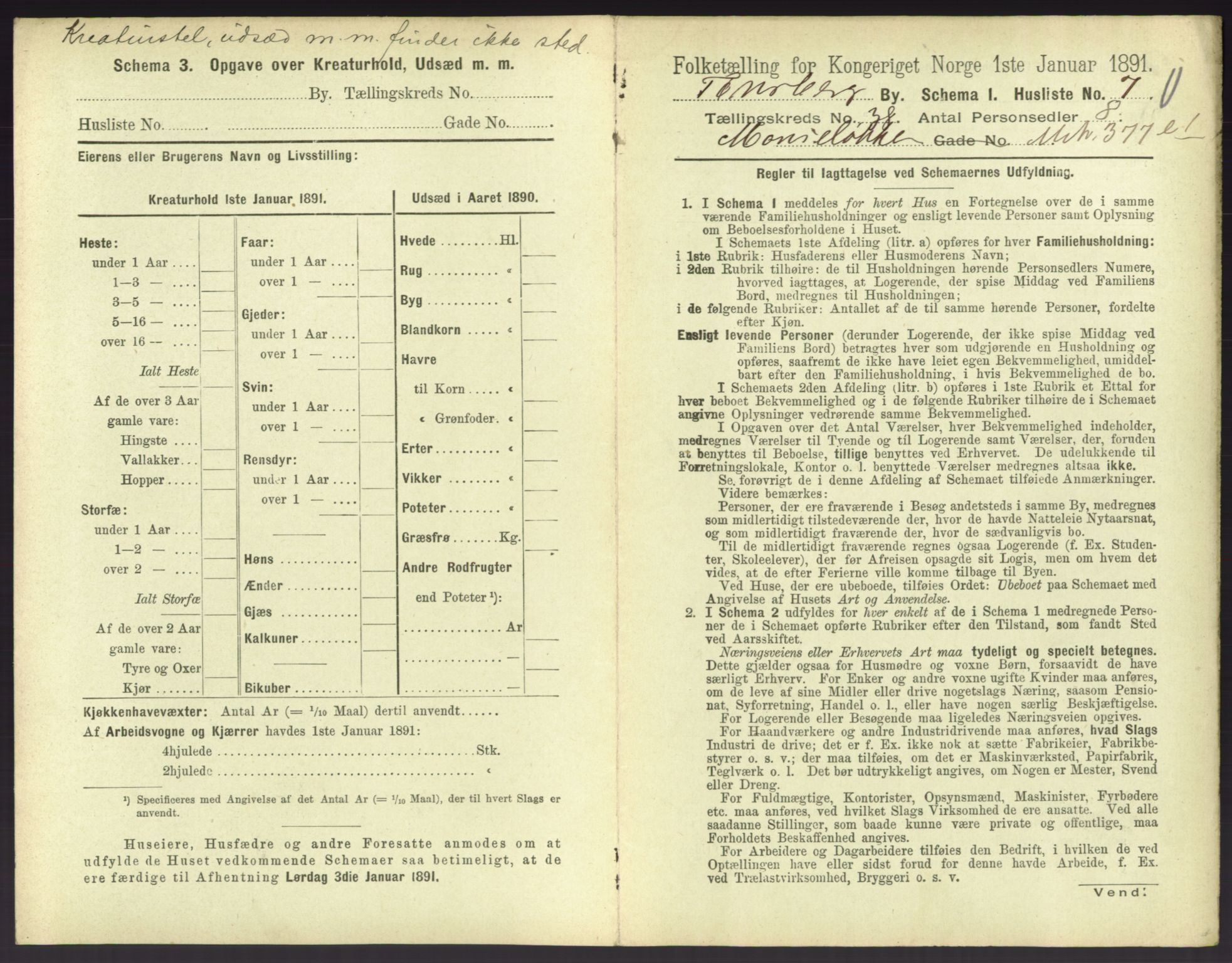 RA, 1891 census for 0705 Tønsberg, 1891, p. 1086