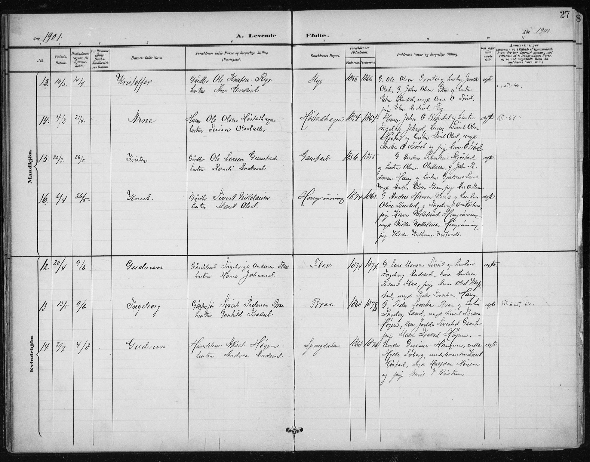 Ministerialprotokoller, klokkerbøker og fødselsregistre - Sør-Trøndelag, AV/SAT-A-1456/612/L0380: Parish register (official) no. 612A12, 1898-1907, p. 27