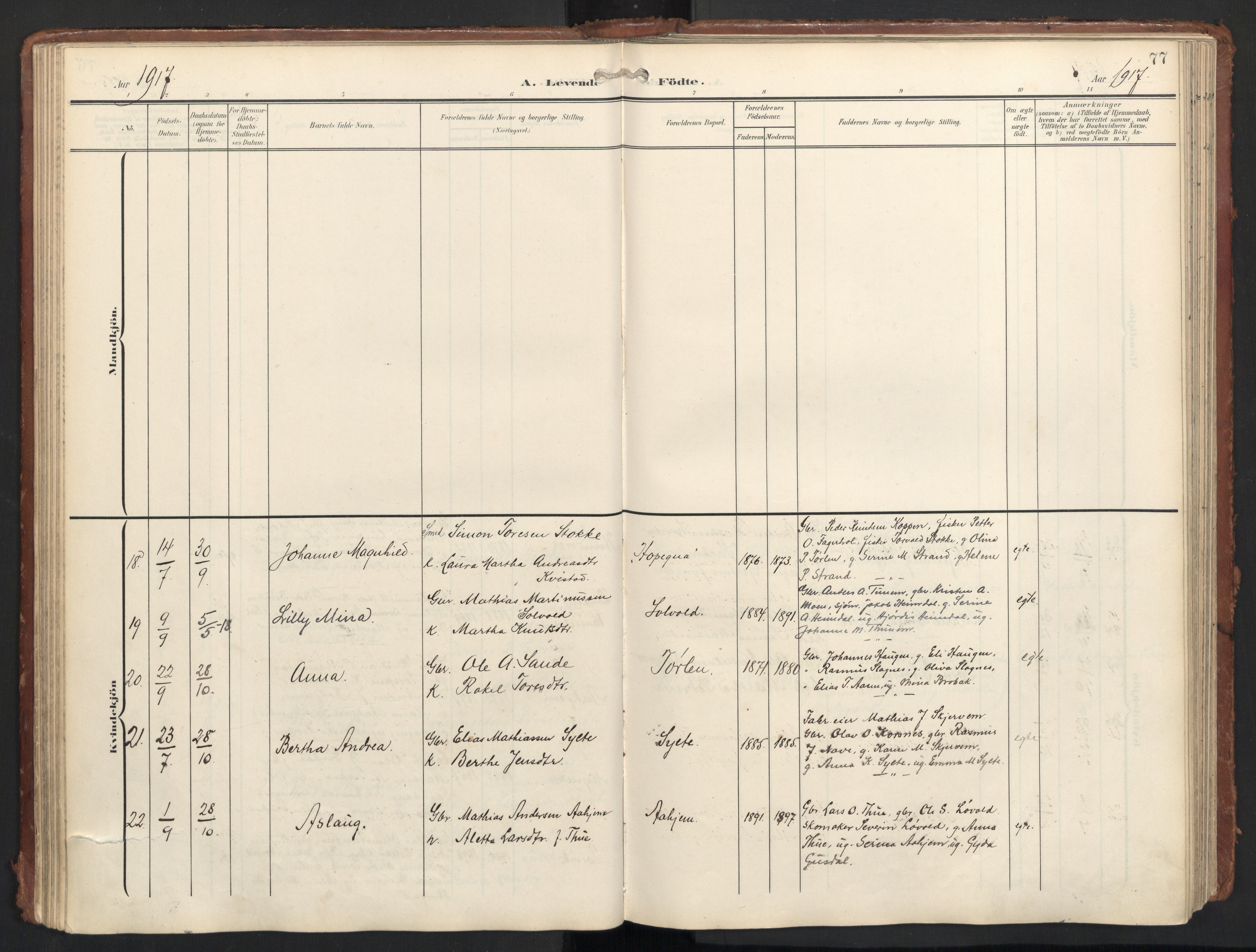 Ministerialprotokoller, klokkerbøker og fødselsregistre - Møre og Romsdal, AV/SAT-A-1454/501/L0011: Parish register (official) no. 501A11, 1902-1919, p. 77