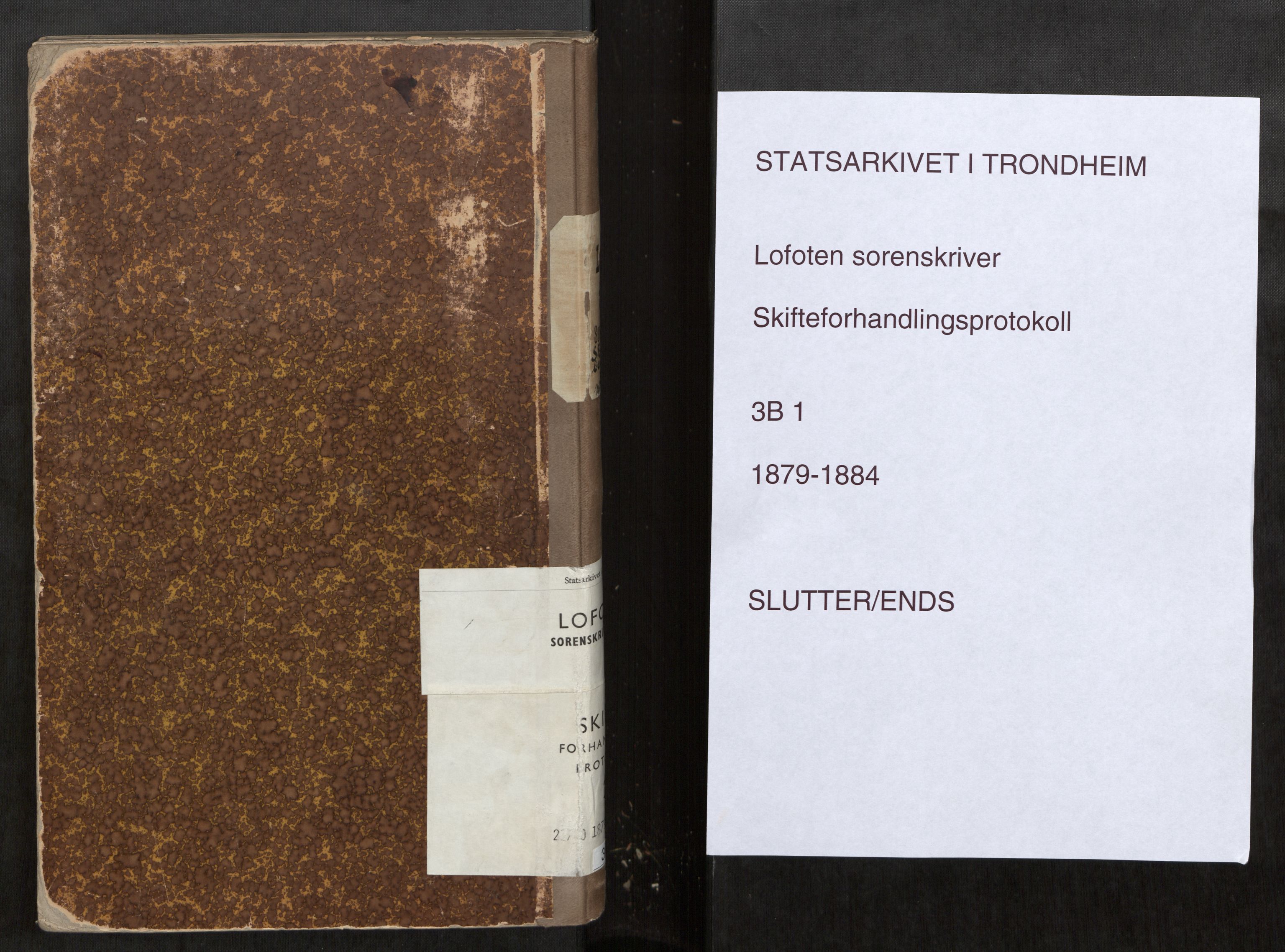 Lofoten sorenskriveri, SAT/A-0017/1/3/3B/L0001: Skifteforhandlings-protokoll, 1879-1884