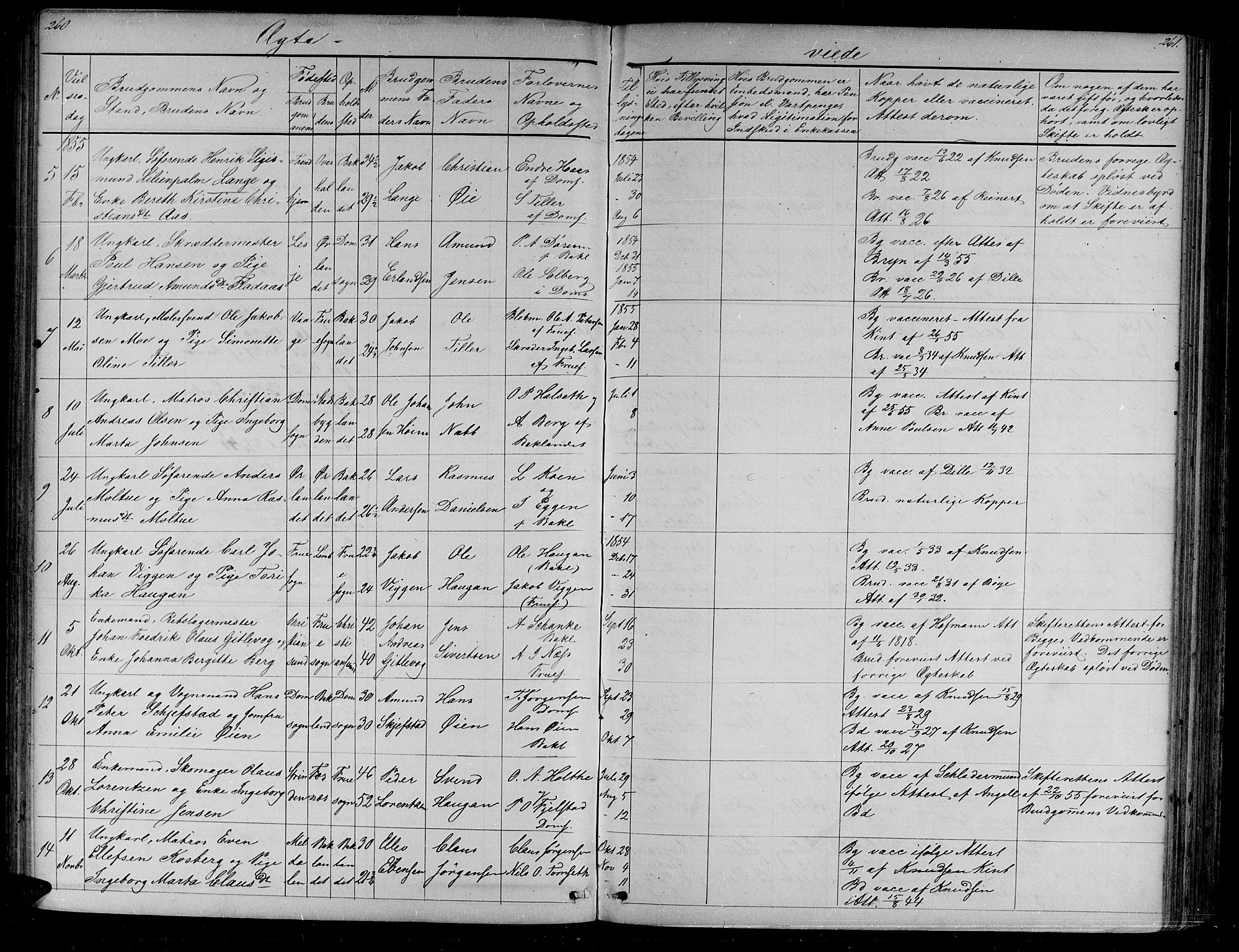 Ministerialprotokoller, klokkerbøker og fødselsregistre - Sør-Trøndelag, AV/SAT-A-1456/604/L0219: Parish register (copy) no. 604C02, 1851-1869, p. 260-261