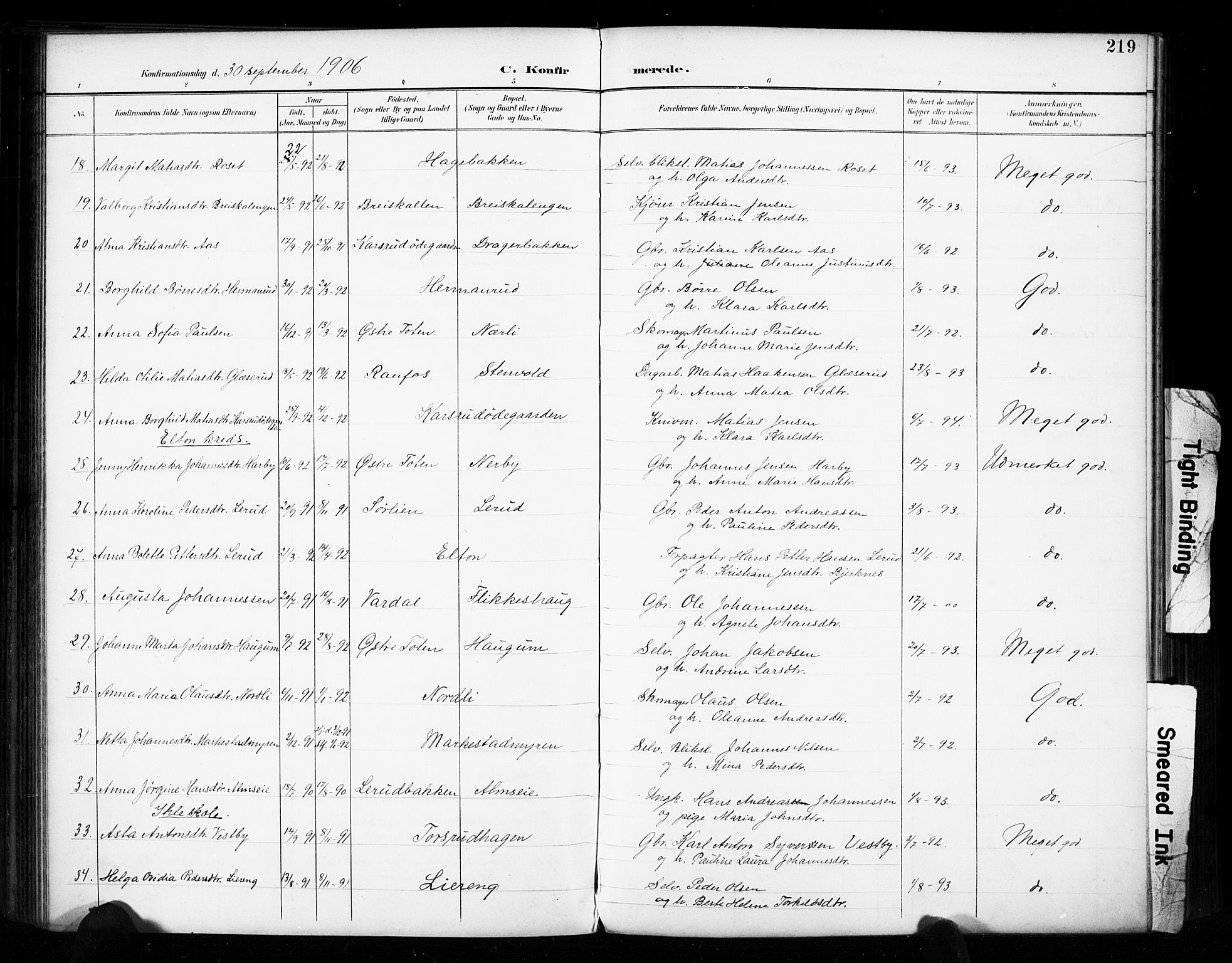 Vestre Toten prestekontor, AV/SAH-PREST-108/H/Ha/Haa/L0011: Parish register (official) no. 11, 1895-1906, p. 219