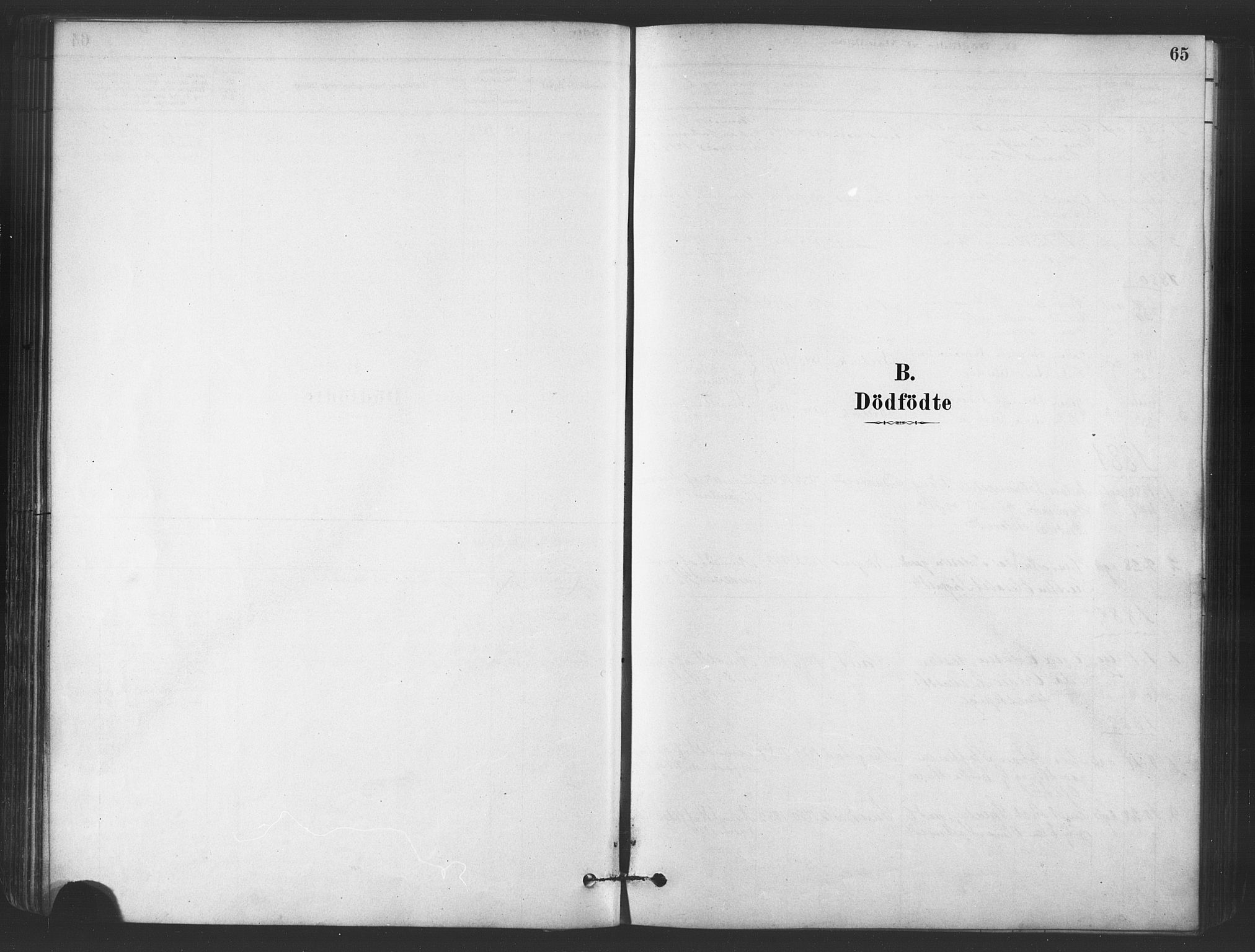 Sand/Bjarkøy sokneprestkontor, SATØ/S-0811/I/Ia/Iaa/L0003kirke: Parish register (official) no. 3, 1878-1892, p. 65