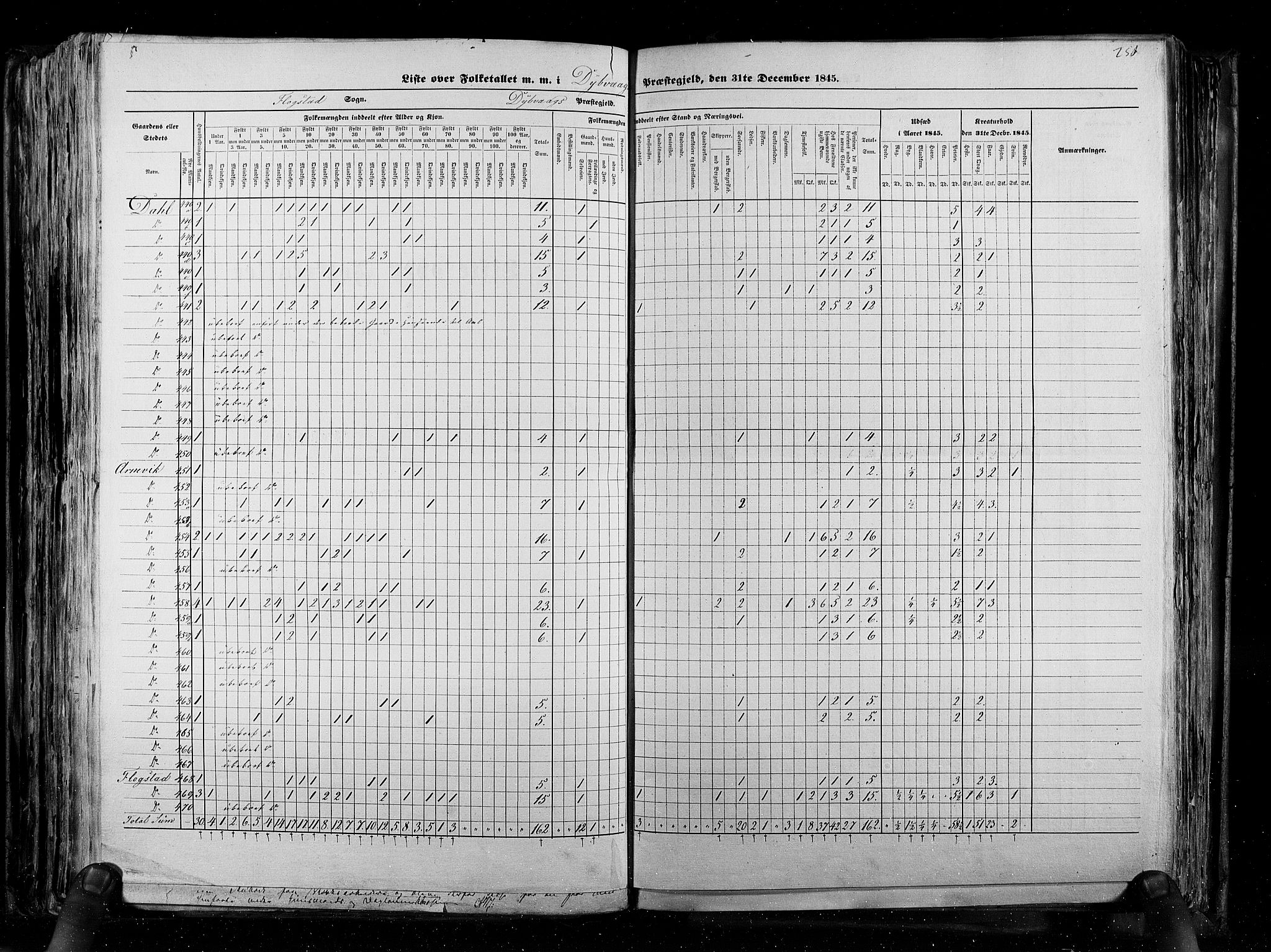 RA, Census 1845, vol. 5: Bratsberg amt og Nedenes og Råbyggelaget amt, 1845, p. 250