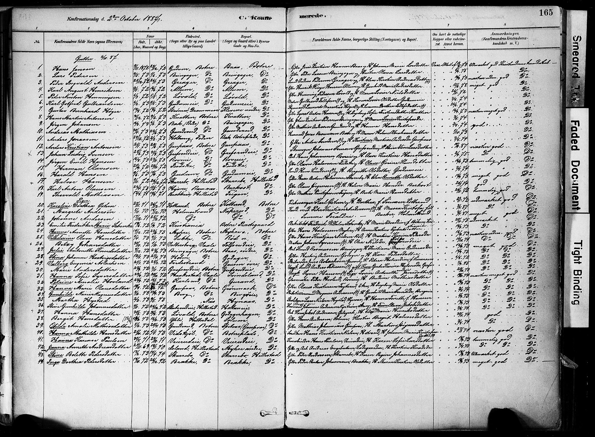 Botne kirkebøker, AV/SAKO-A-340/F/Fa/L0007: Parish register (official) no. I 7, 1878-1910, p. 165