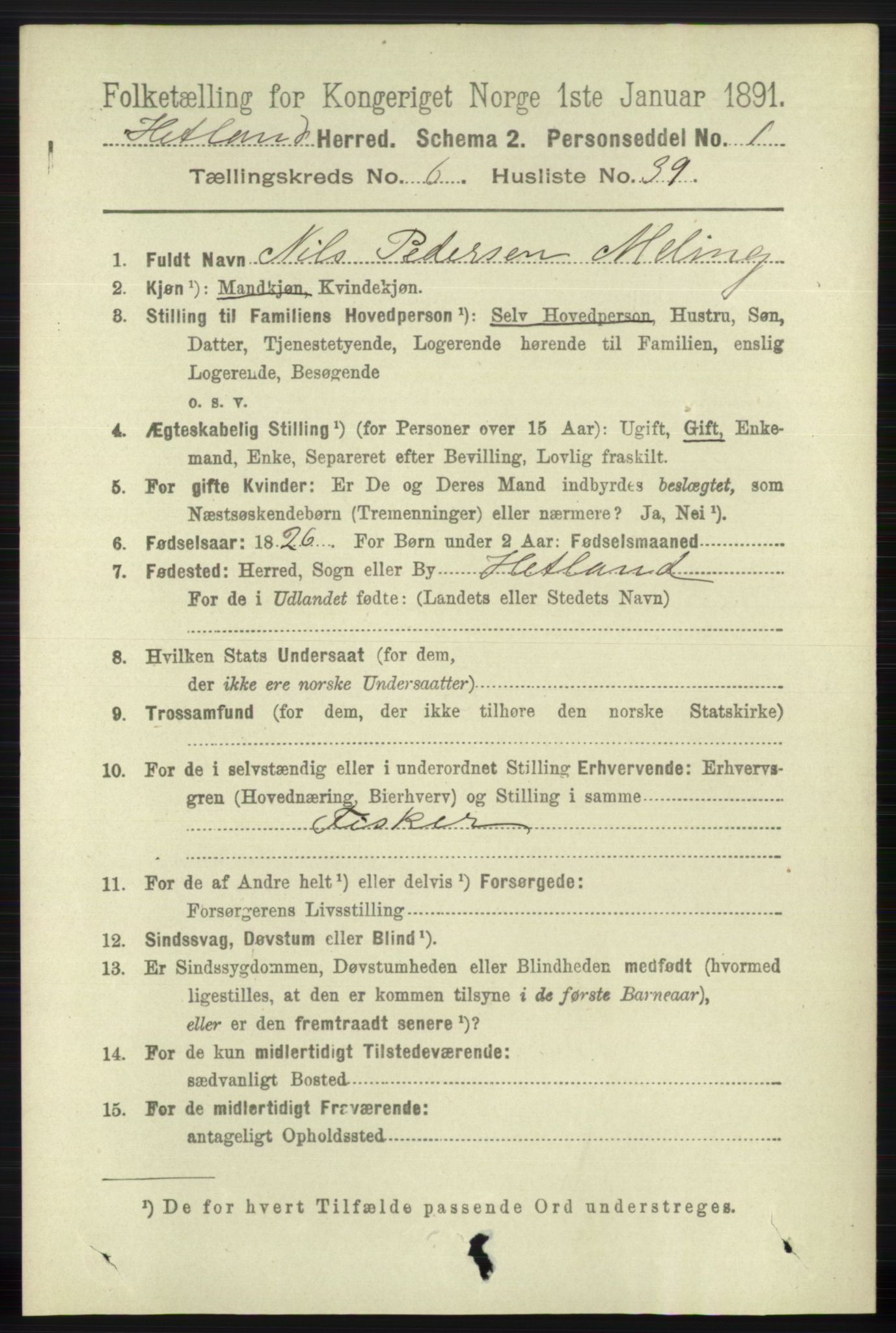 RA, 1891 census for 1126 Hetland, 1891, p. 3667