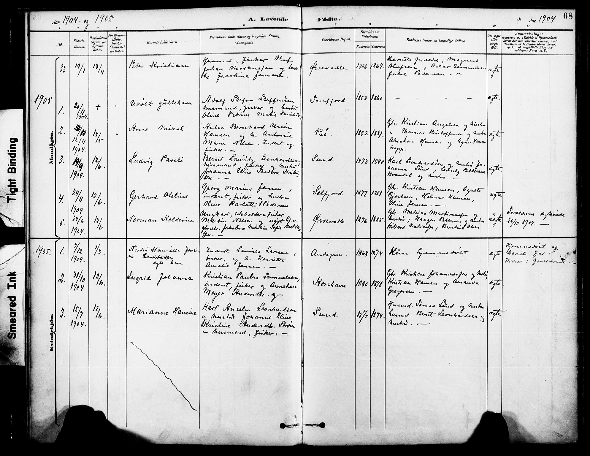 Ministerialprotokoller, klokkerbøker og fødselsregistre - Nordland, AV/SAT-A-1459/885/L1205: Parish register (official) no. 885A06, 1892-1905, p. 68