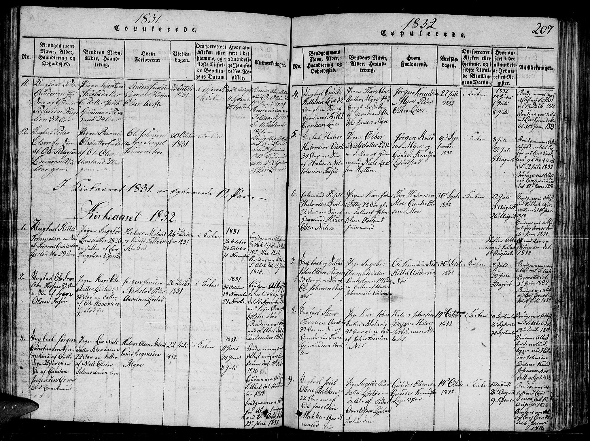 Gjerstad sokneprestkontor, SAK/1111-0014/F/Fb/Fbb/L0001: Parish register (copy) no. B 1, 1813-1863, p. 207