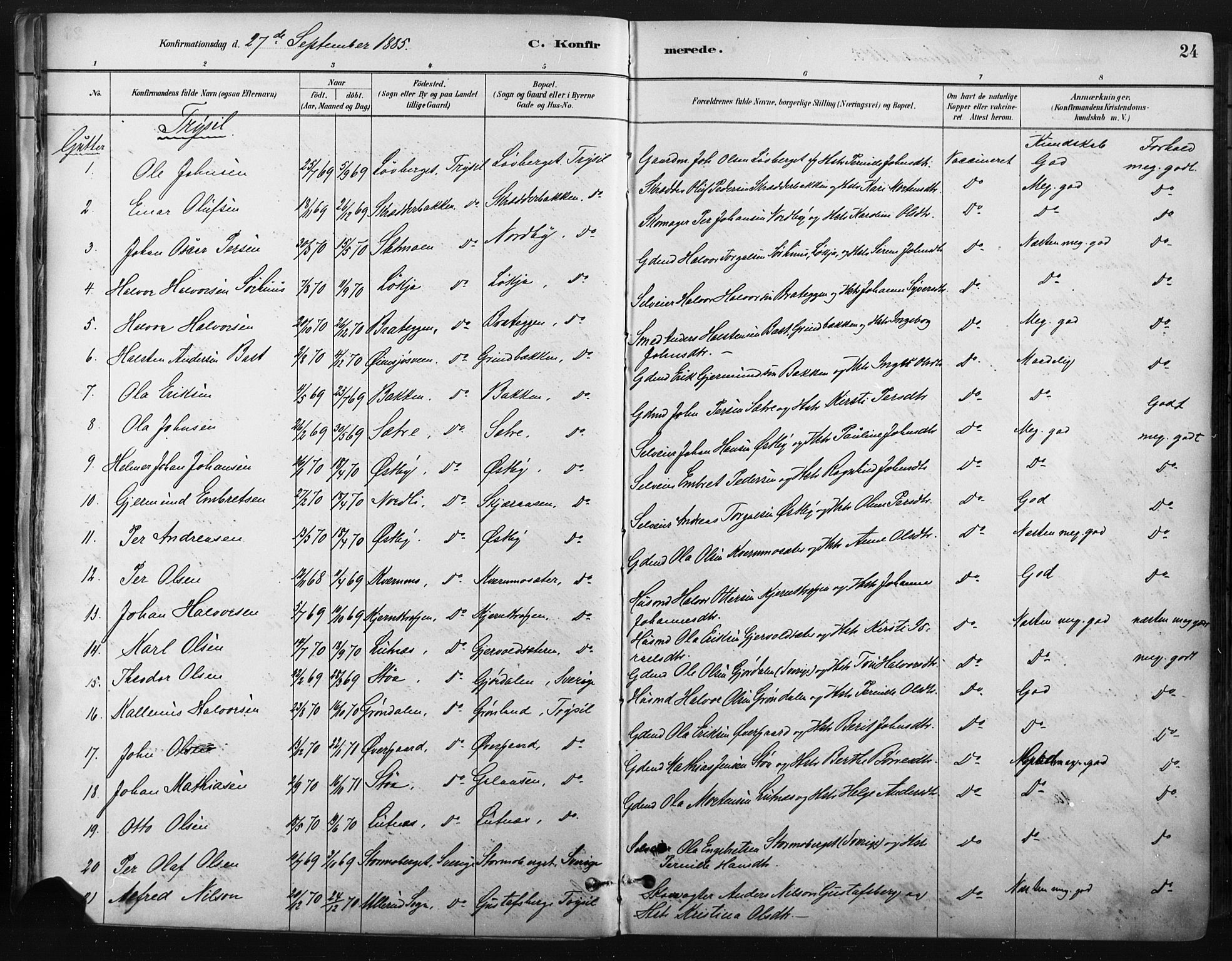 Trysil prestekontor, AV/SAH-PREST-046/H/Ha/Haa/L0009: Parish register (official) no. 9, 1881-1897, p. 24