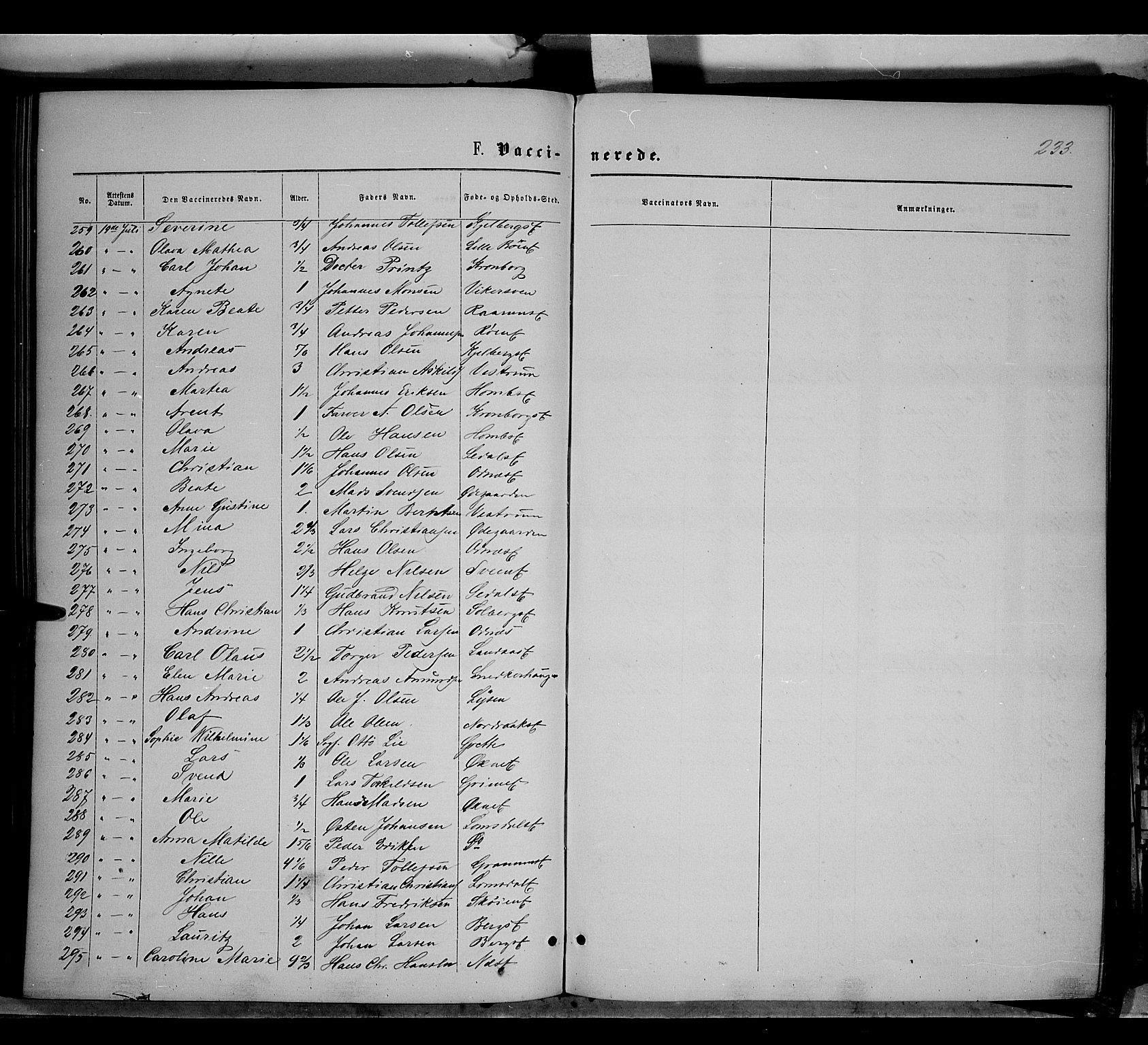 Søndre Land prestekontor, AV/SAH-PREST-122/K/L0001: Parish register (official) no. 1, 1860-1877, p. 233