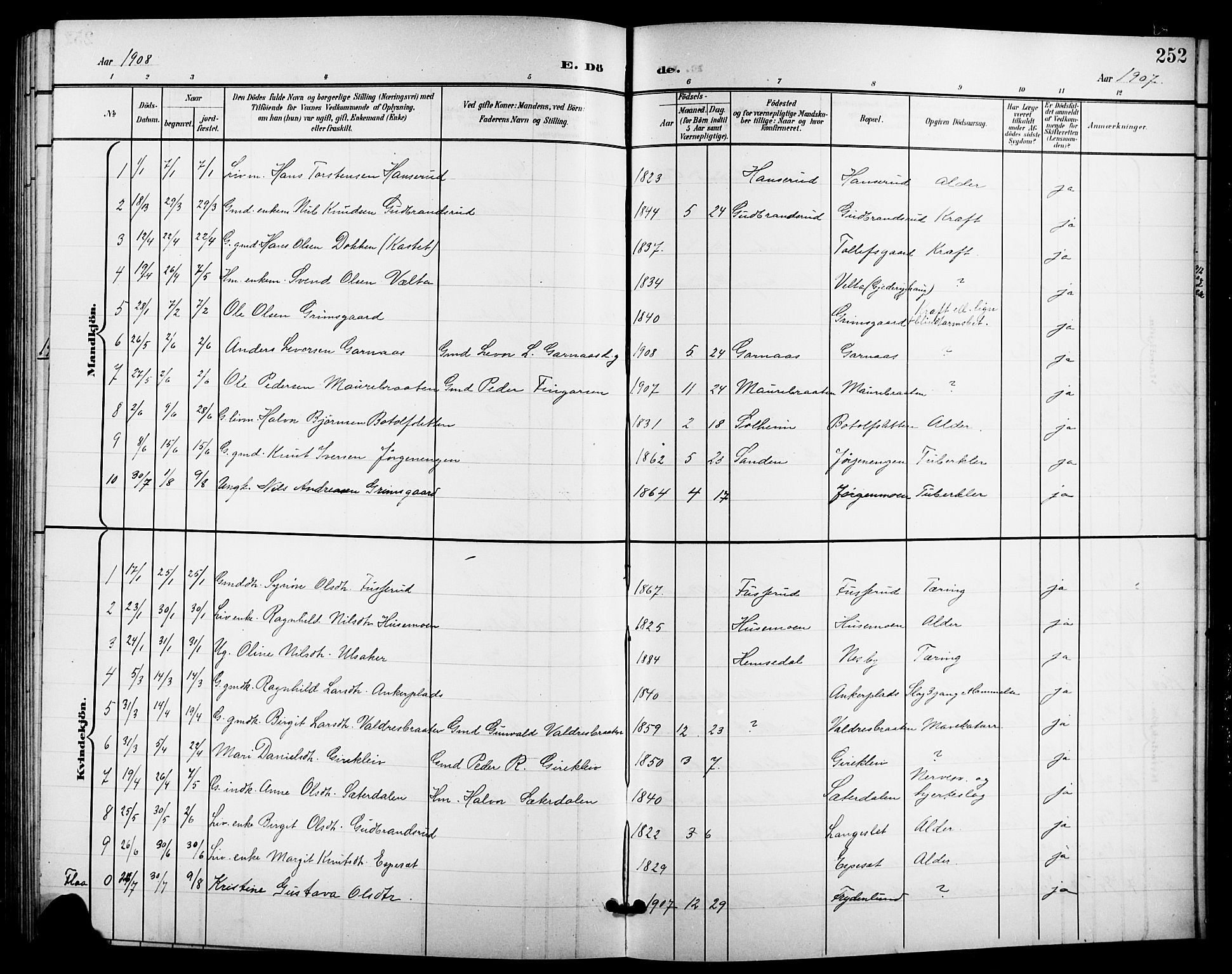 Nes kirkebøker, SAKO/A-236/G/Ga/L0004: Parish register (copy) no. I 4, 1900-1925, p. 252
