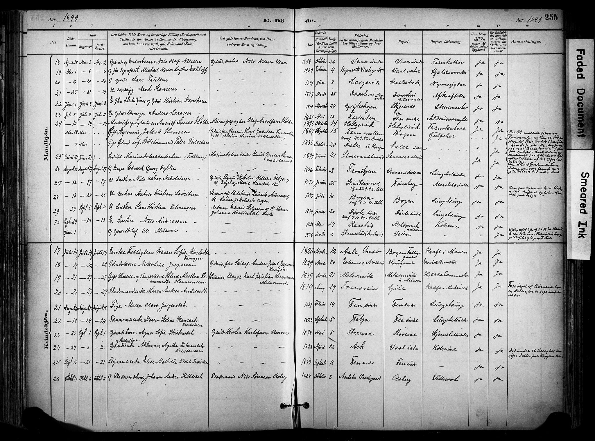 Stokke kirkebøker, AV/SAKO-A-320/F/Fa/L0010: Parish register (official) no. I 10, 1884-1903, p. 255