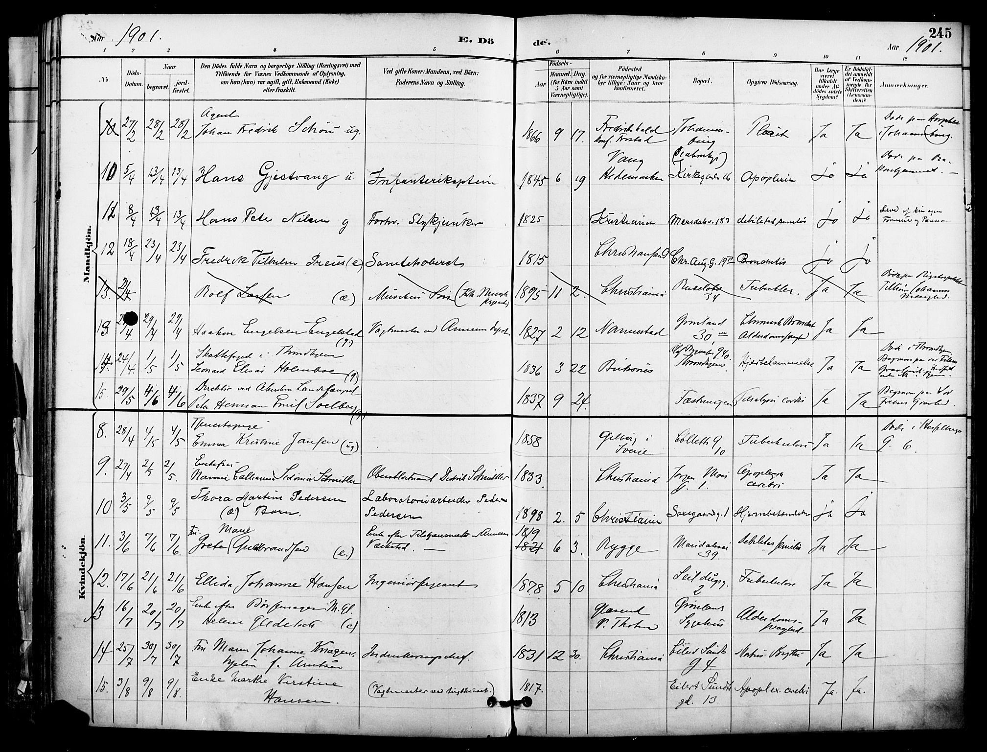 Garnisonsmenigheten Kirkebøker, AV/SAO-A-10846/F/Fa/L0013: Parish register (official) no. 13, 1894-1904, p. 245