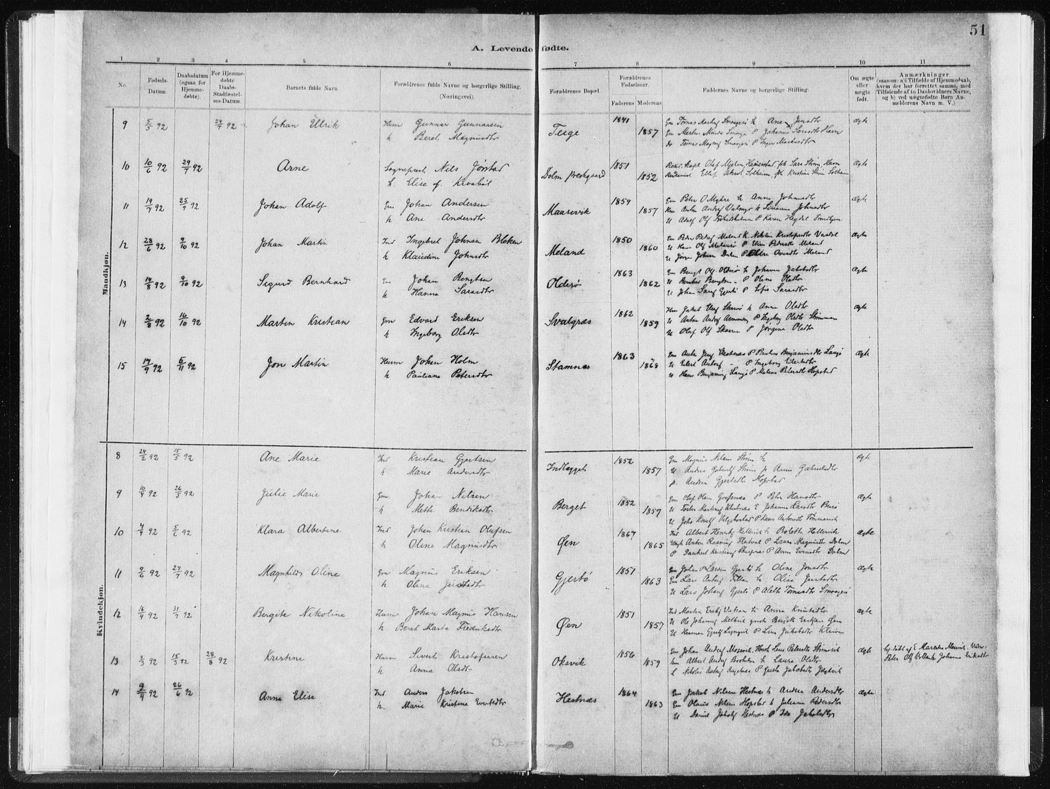 Ministerialprotokoller, klokkerbøker og fødselsregistre - Sør-Trøndelag, SAT/A-1456/634/L0533: Parish register (official) no. 634A09, 1882-1901, p. 51