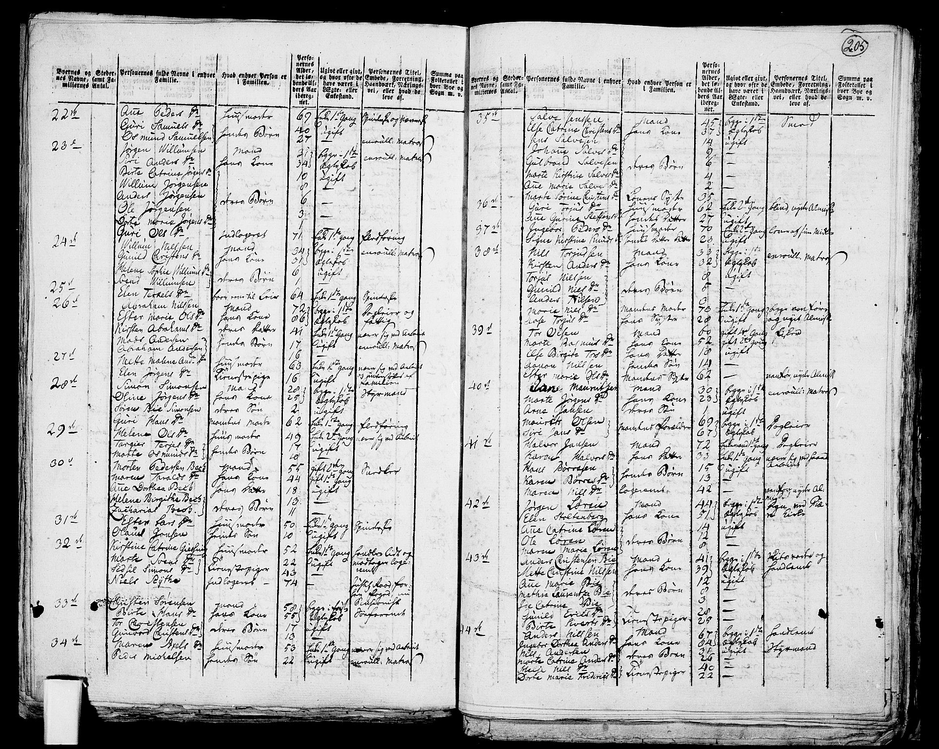 RA, 1801 census for 0920P Øyestad, 1801, p. 204b-205a