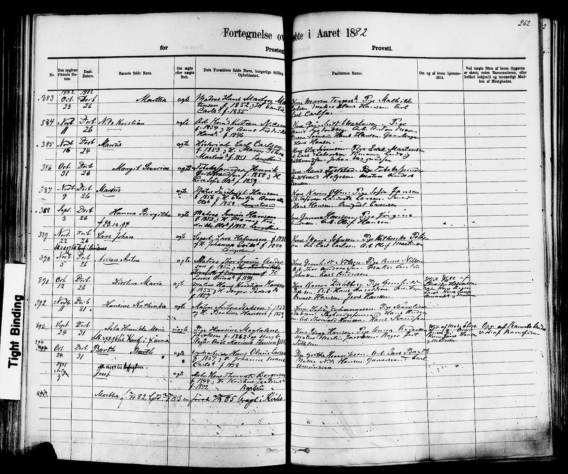 Larvik kirkebøker, AV/SAKO-A-352/F/Fa/L0006: Parish register (official) no. I 6, 1871-1883, p. 262