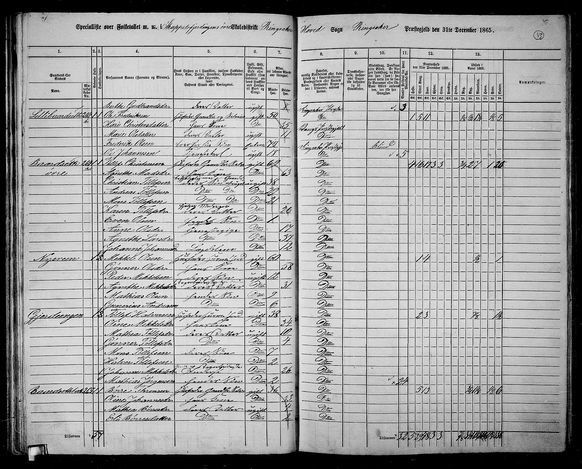 RA, 1865 census for Ringsaker, 1865, p. 300