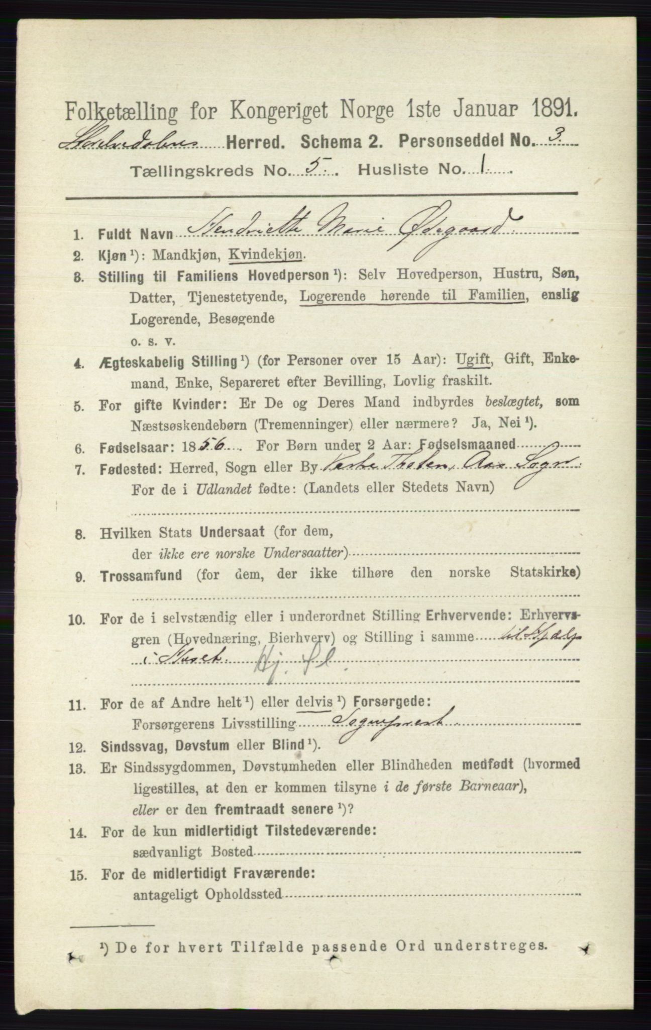 RA, 1891 census for 0430 Stor-Elvdal, 1891, p. 1716