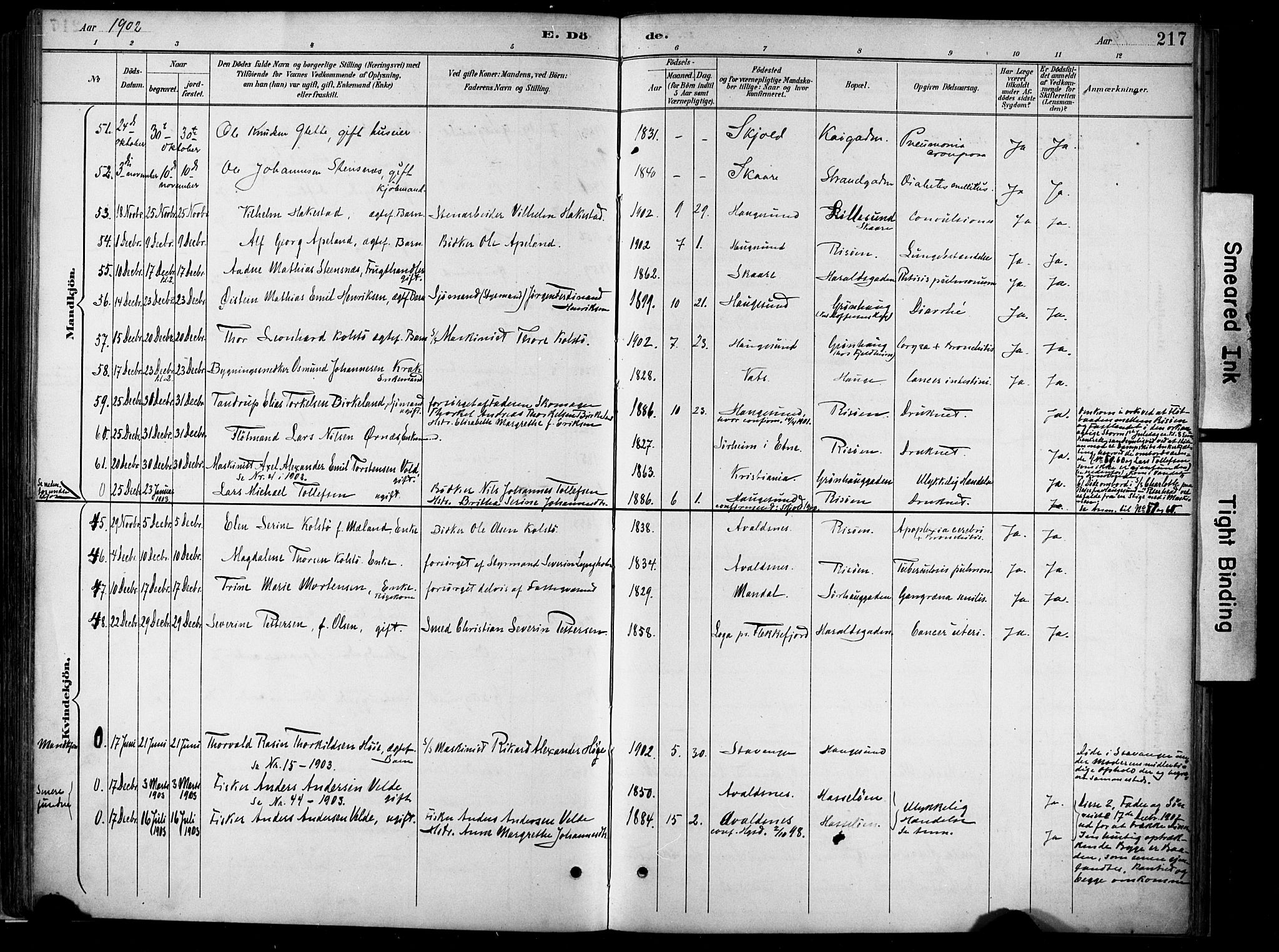 Haugesund sokneprestkontor, AV/SAST-A -101863/H/Ha/Haa/L0005: Parish register (official) no. A 5, 1891-1903, p. 217