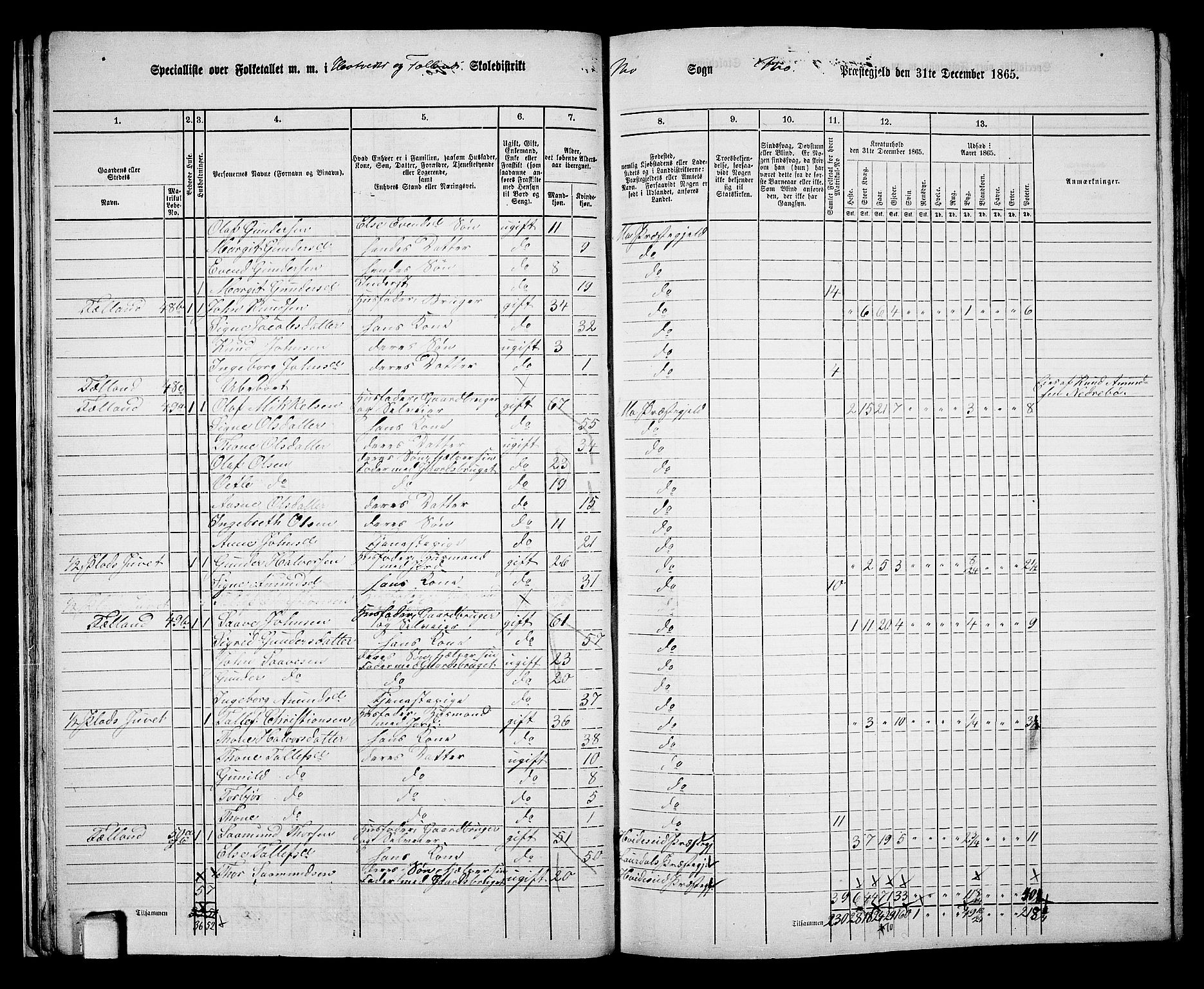 RA, 1865 census for Mo, 1865, p. 29