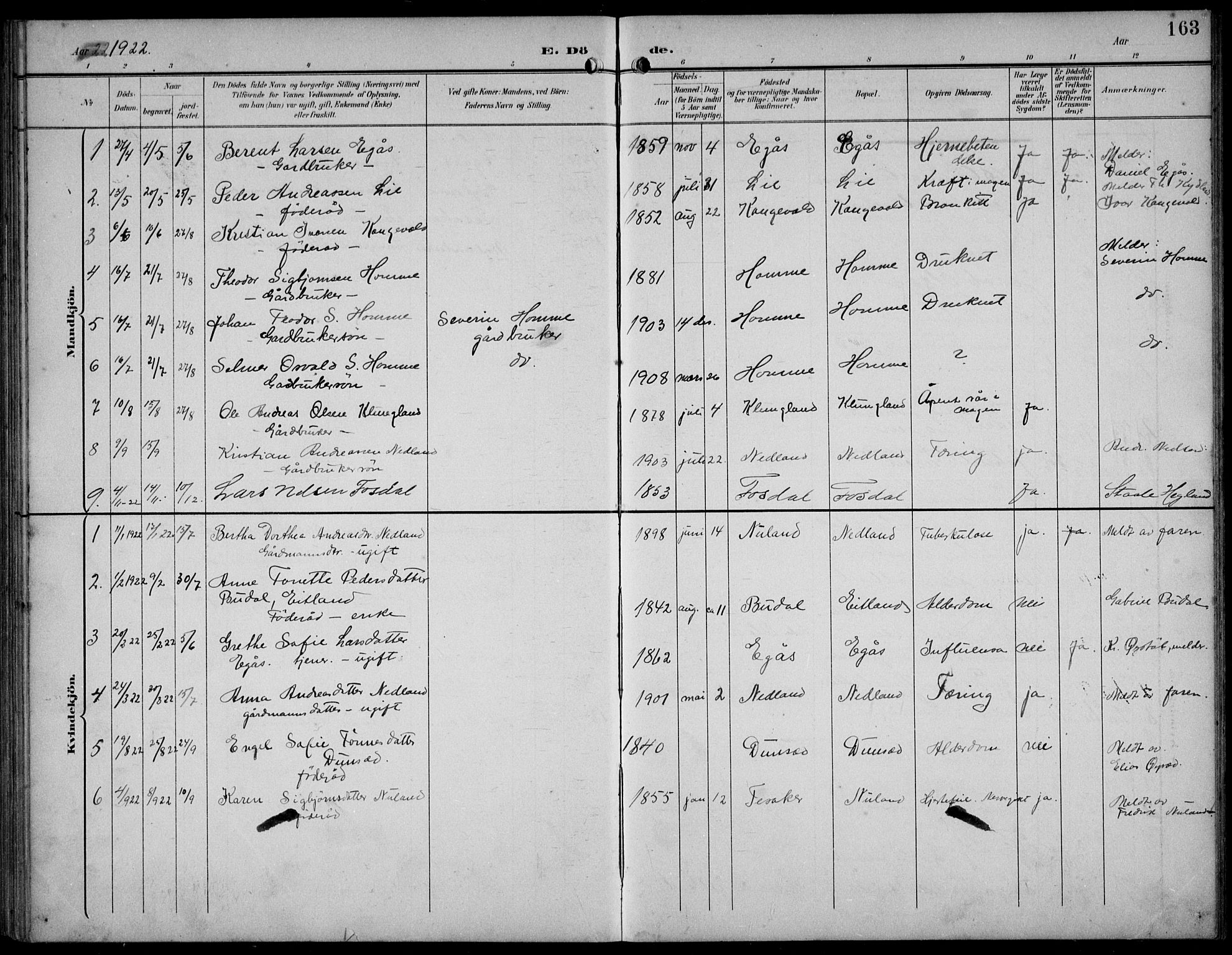 Bakke sokneprestkontor, AV/SAK-1111-0002/F/Fb/Fbb/L0004: Parish register (copy) no. B 4, 1896-1927, p. 163