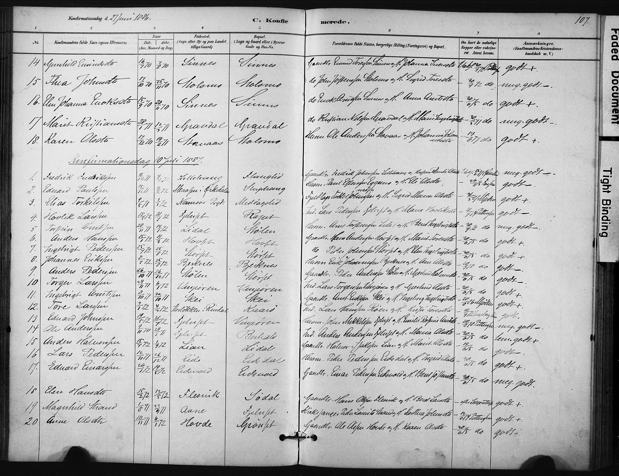 Ministerialprotokoller, klokkerbøker og fødselsregistre - Sør-Trøndelag, SAT/A-1456/631/L0512: Parish register (official) no. 631A01, 1879-1912, p. 107