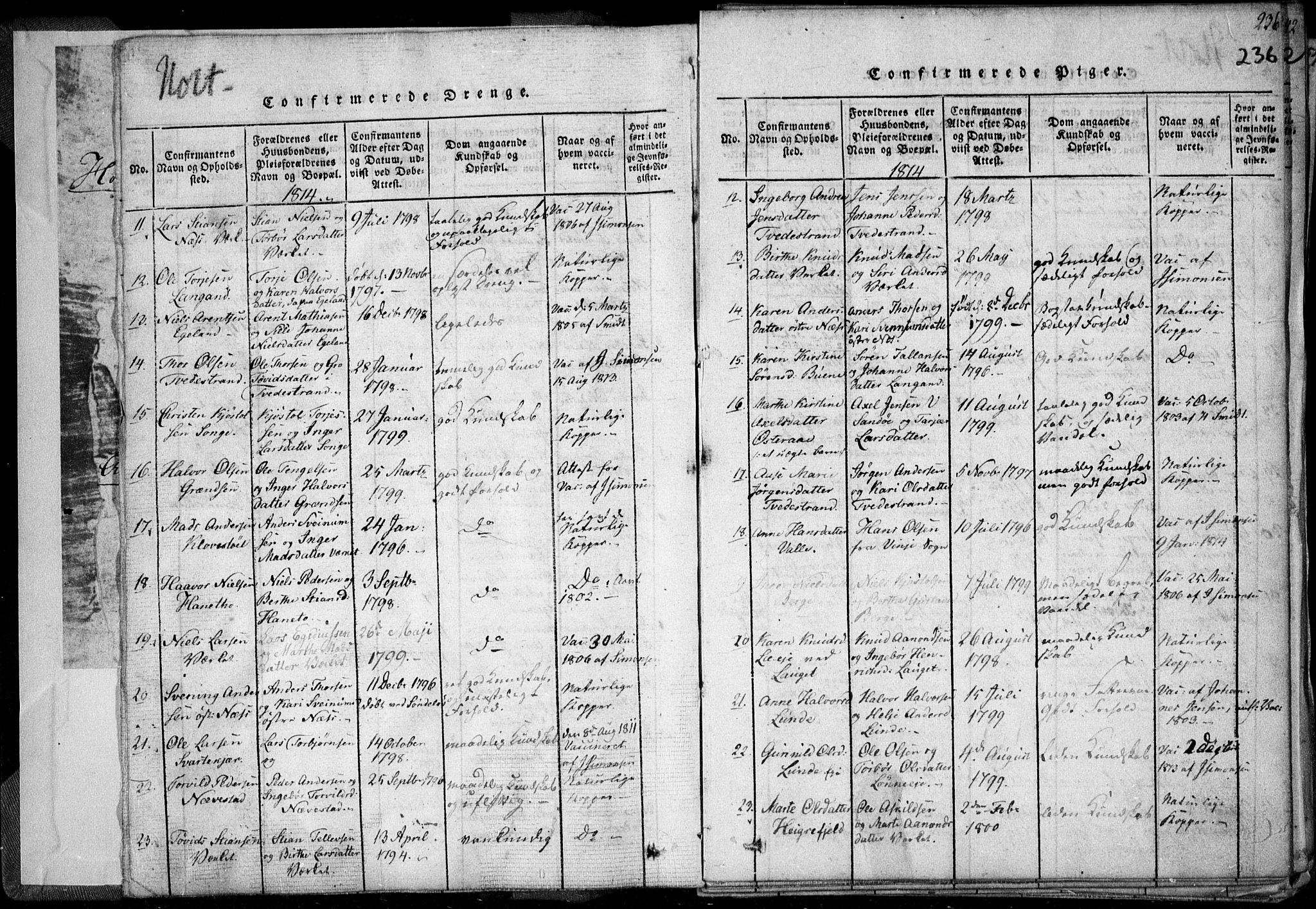 Holt sokneprestkontor, AV/SAK-1111-0021/F/Fa/L0005: Parish register (official) no. A 5, 1813-1821, p. 236